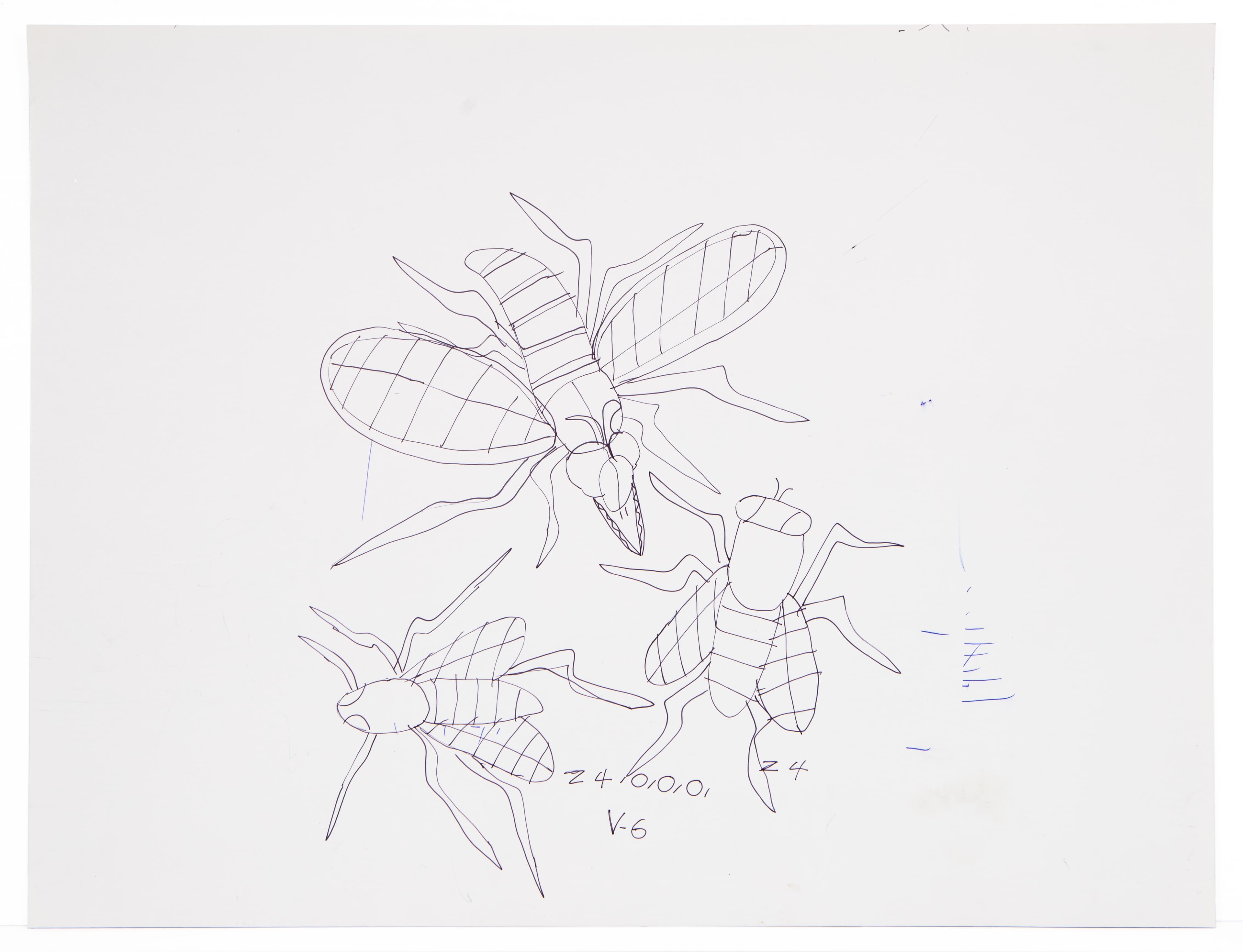 Ink drawing of bees with crosshatched wings and bodies on white paper