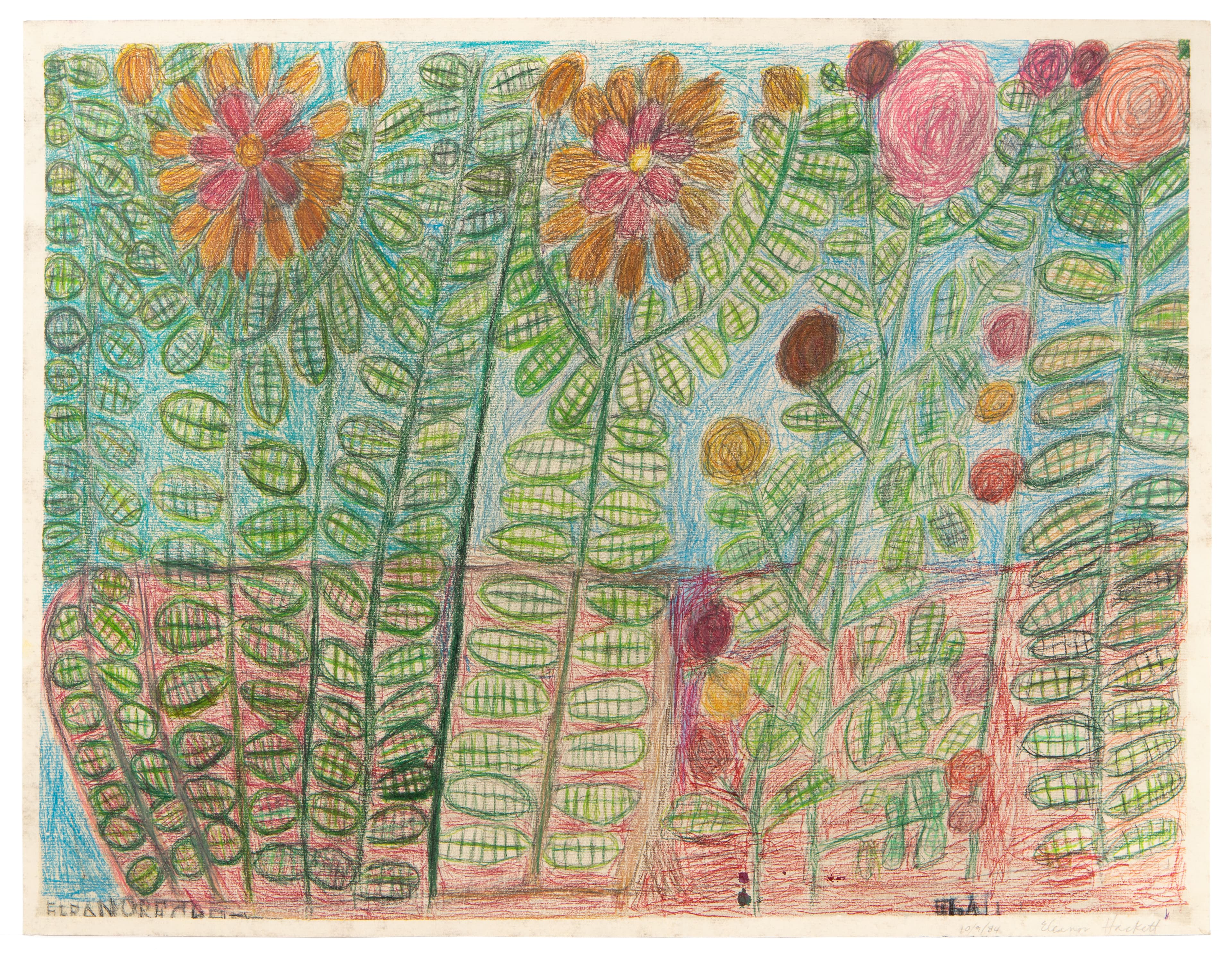 Colored pencil drawing of a dense garden with orange flowers, pink roses, and green foliage with crosshatch patterns