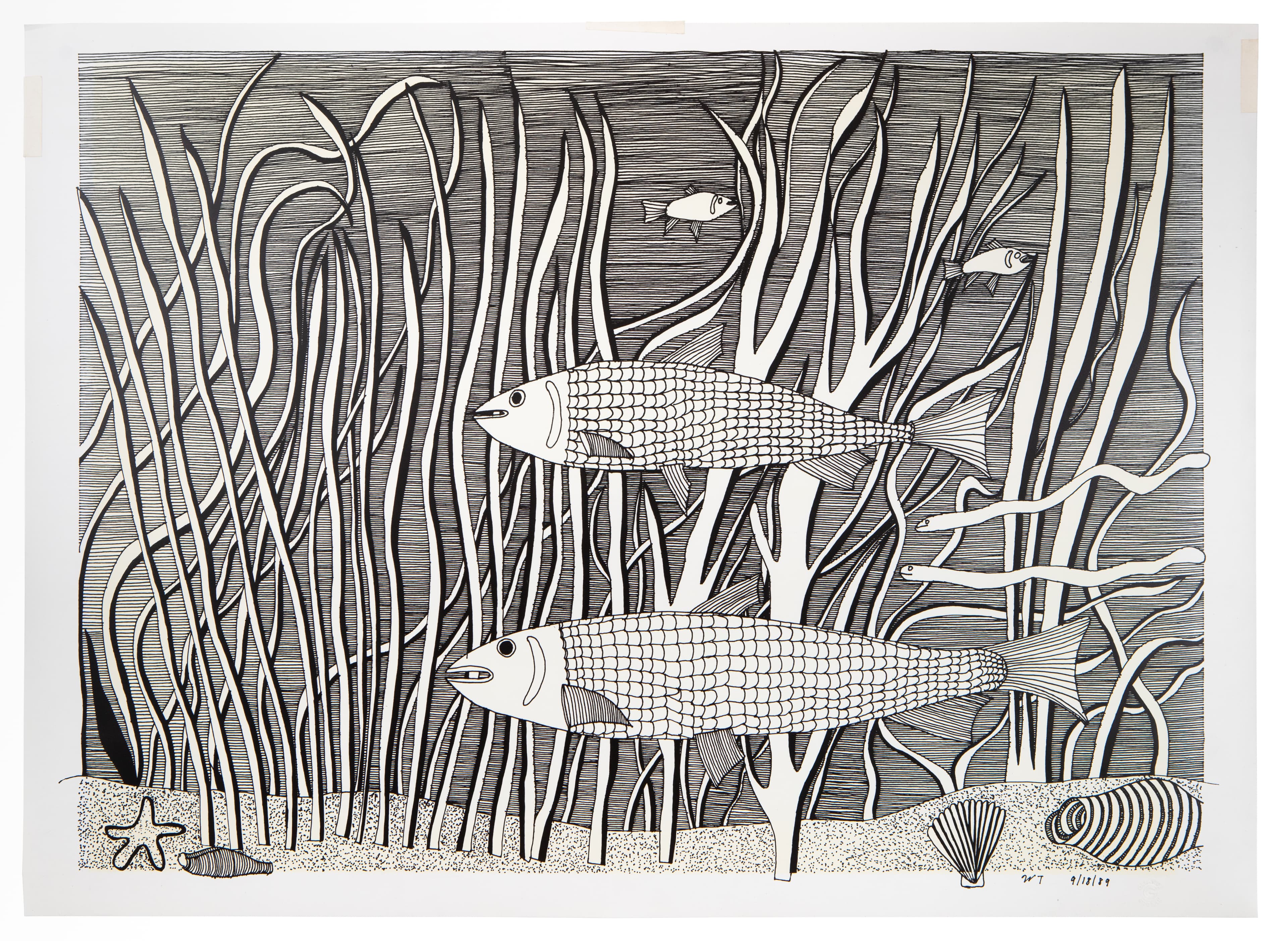 Black and white ink drawing of underwater scene with two fish swimming among seaweed and coral