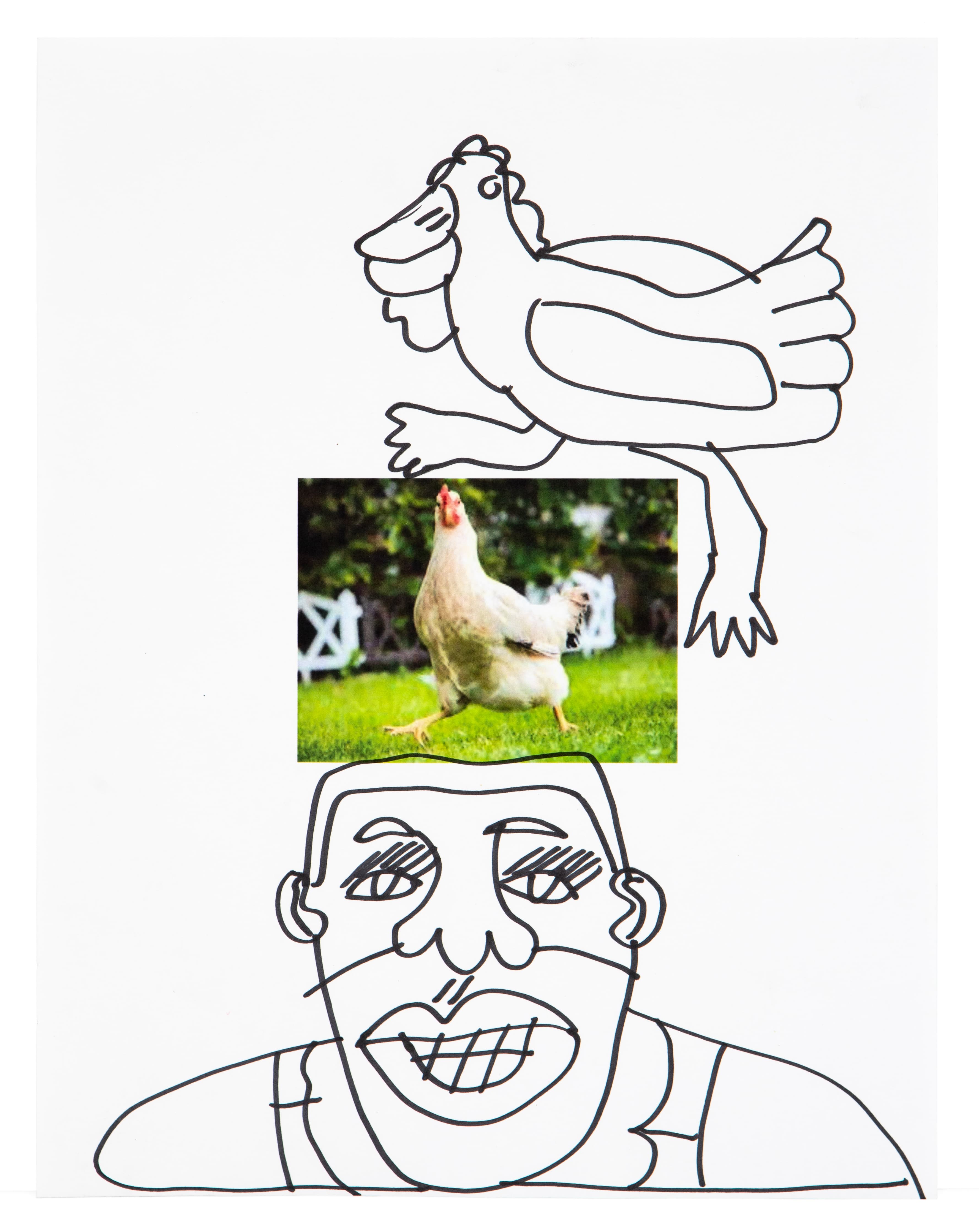 Mixed media artwork with black line drawings of chicken and person's face, plus color photo of hen on grass