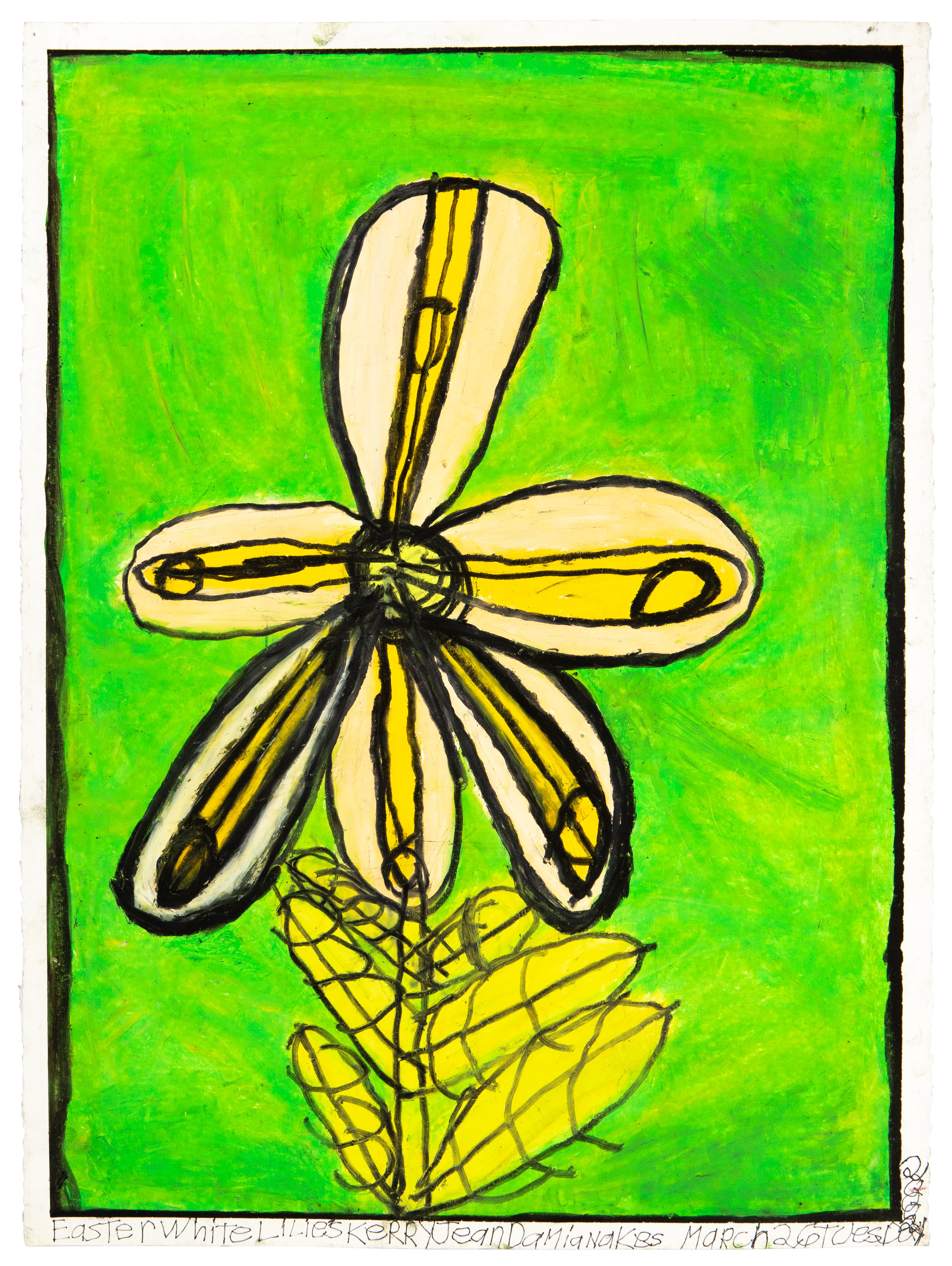 Pastel drawing of a large white and yellow flower with five petals on bright green background