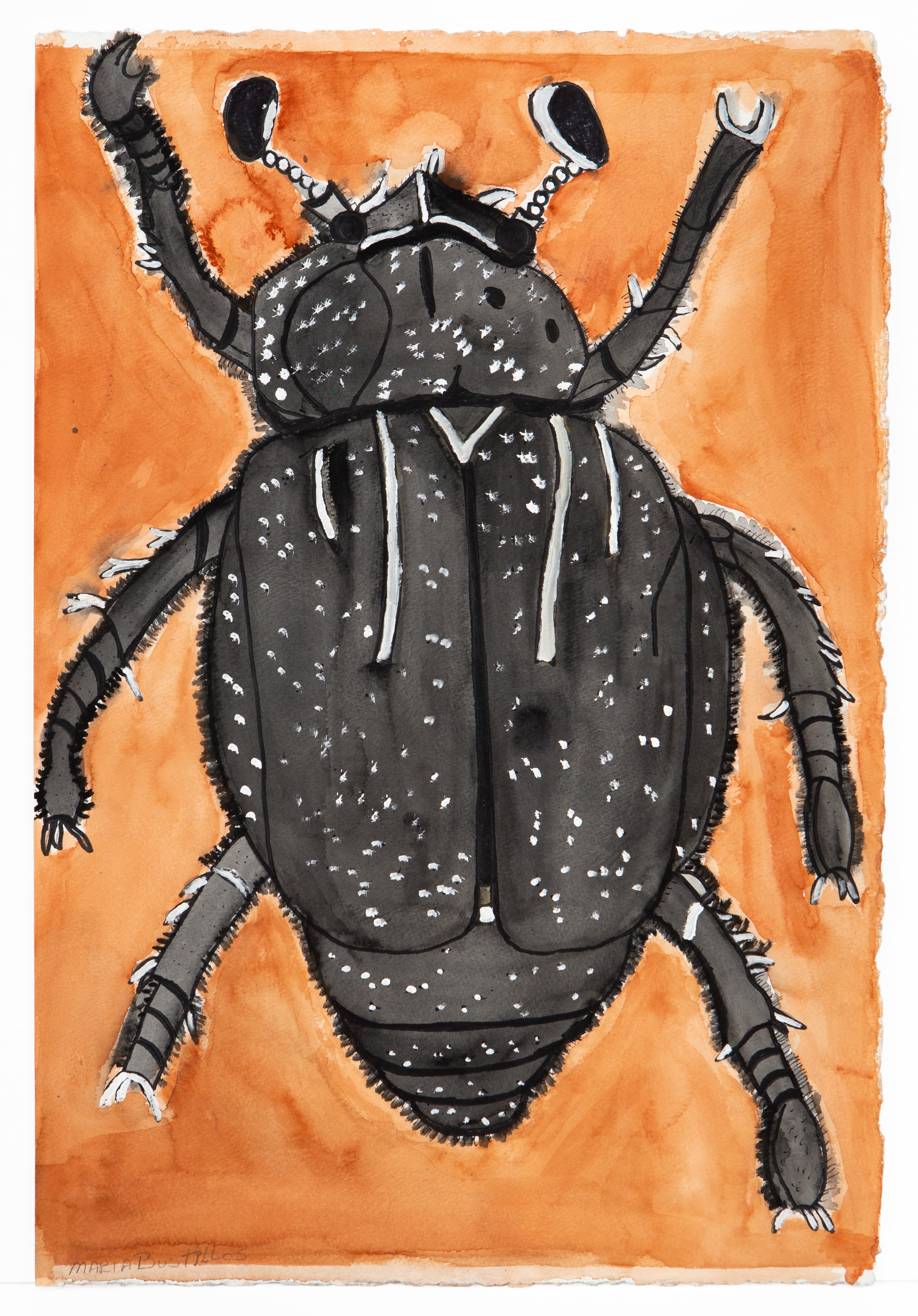 Watercolor painting of a large black beetle with segmented legs against an orange background