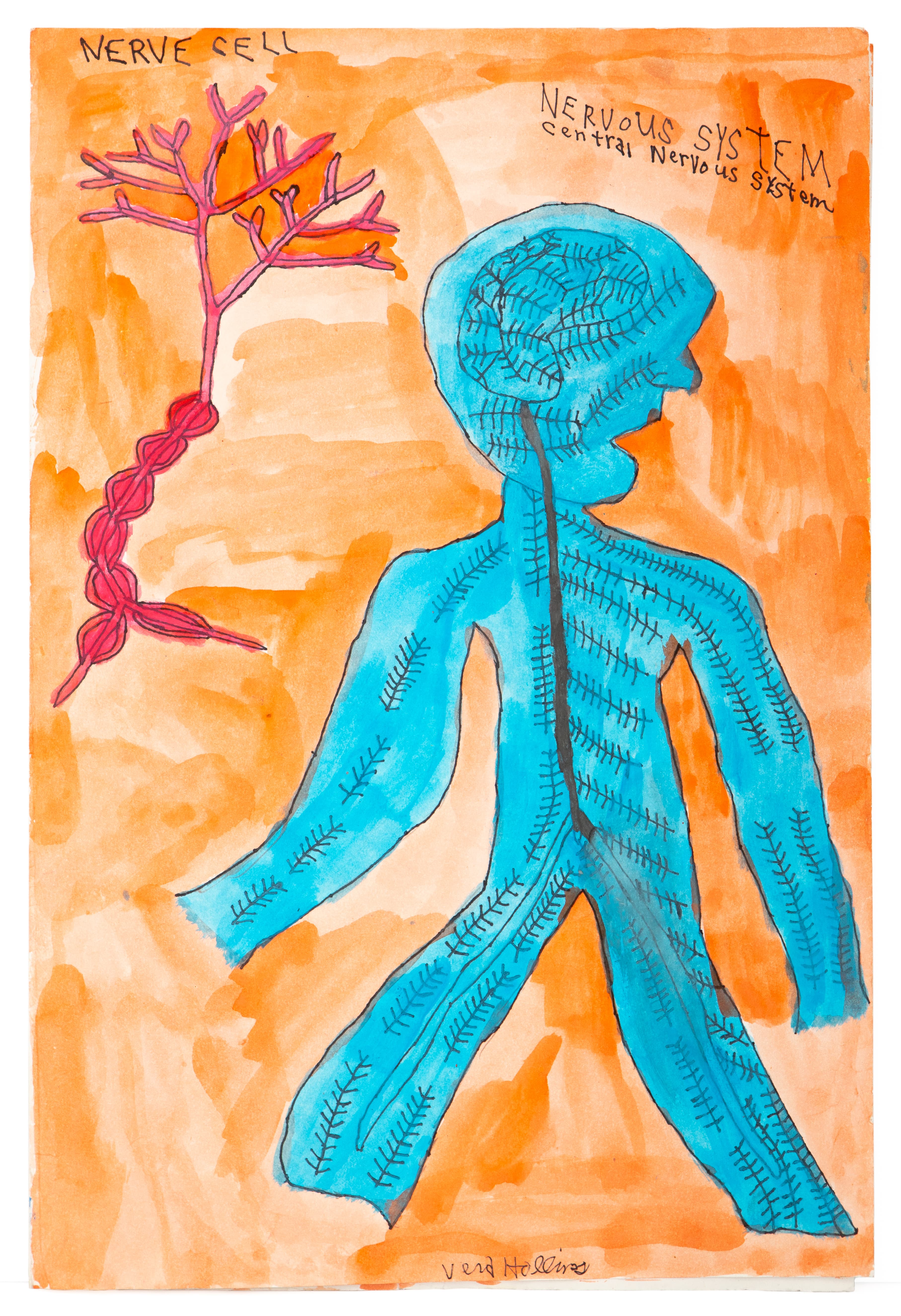 Watercolor and ink drawing showing blue human figure with nervous system and pink nerve cell tree on orange background