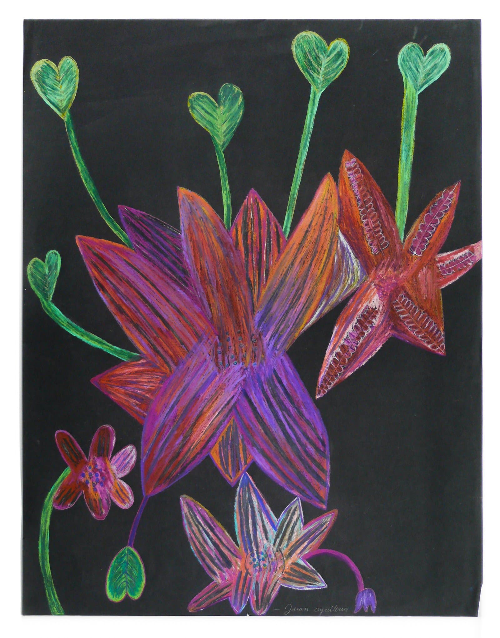 Colored pencil drawing of stylized flowers and heart-shaped buds in purple, red, and orange on black paper.
