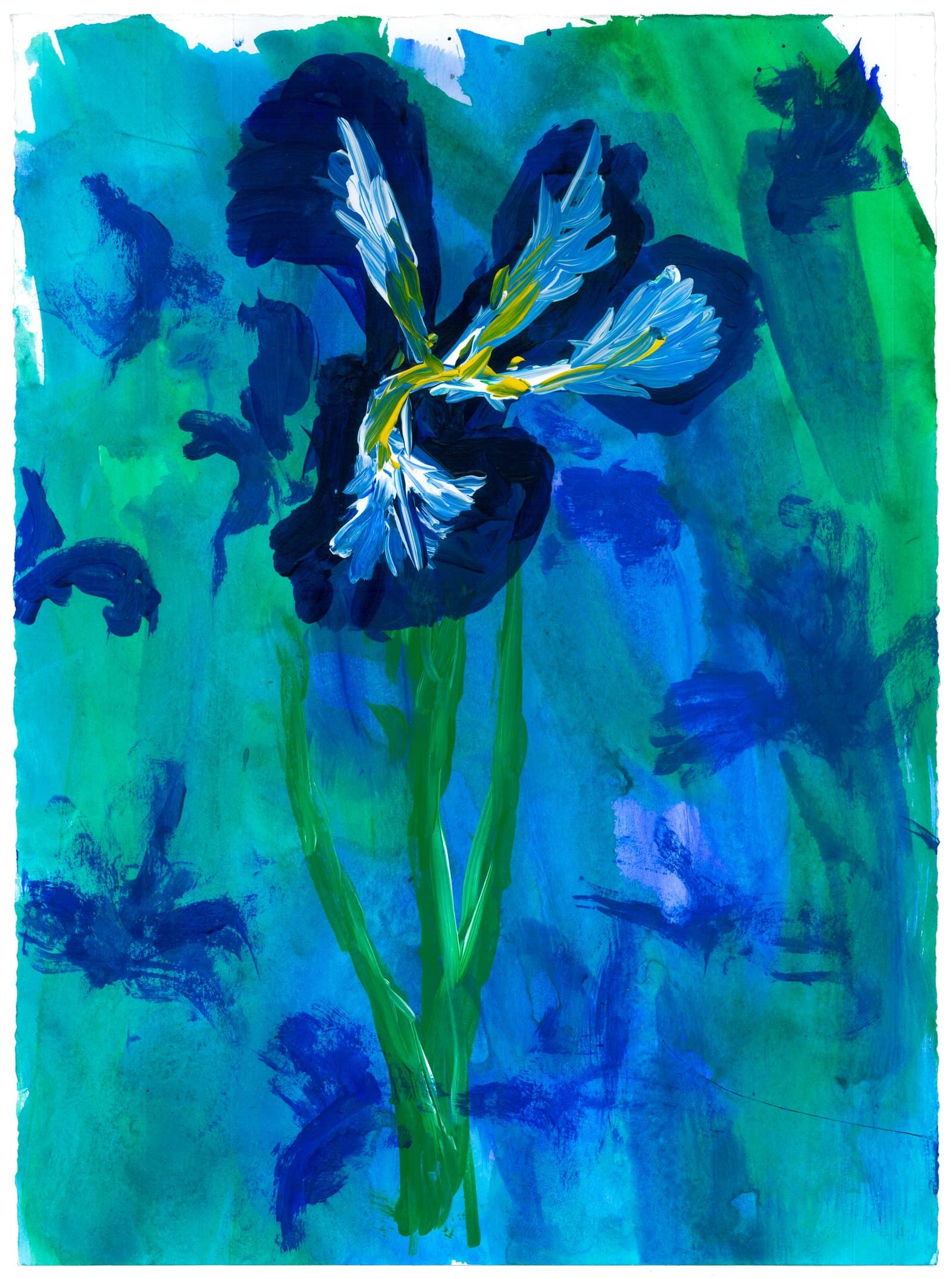 Painting of a dark blue iris with light blue and yellow center on a teal and green abstract background, acrylic on paper.