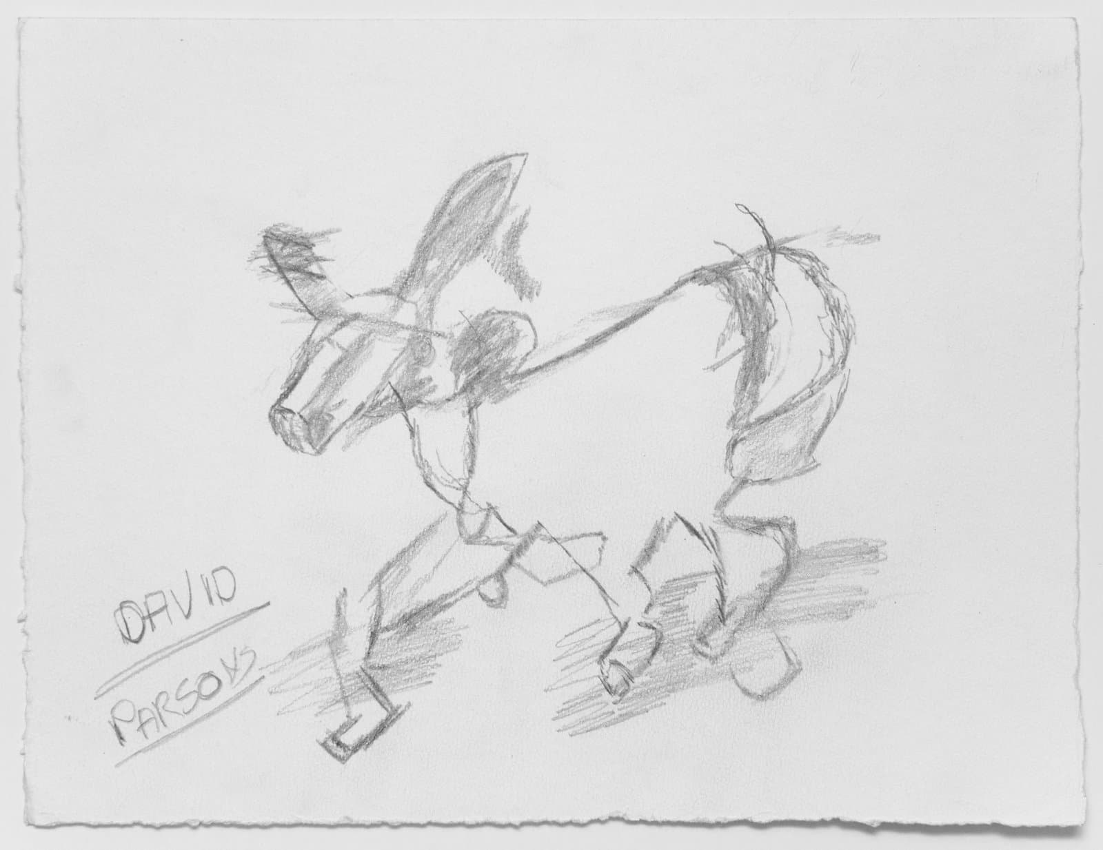 Pencil sketch of a dog in motion on white paper, signed 'David Parsons' in the lower left.