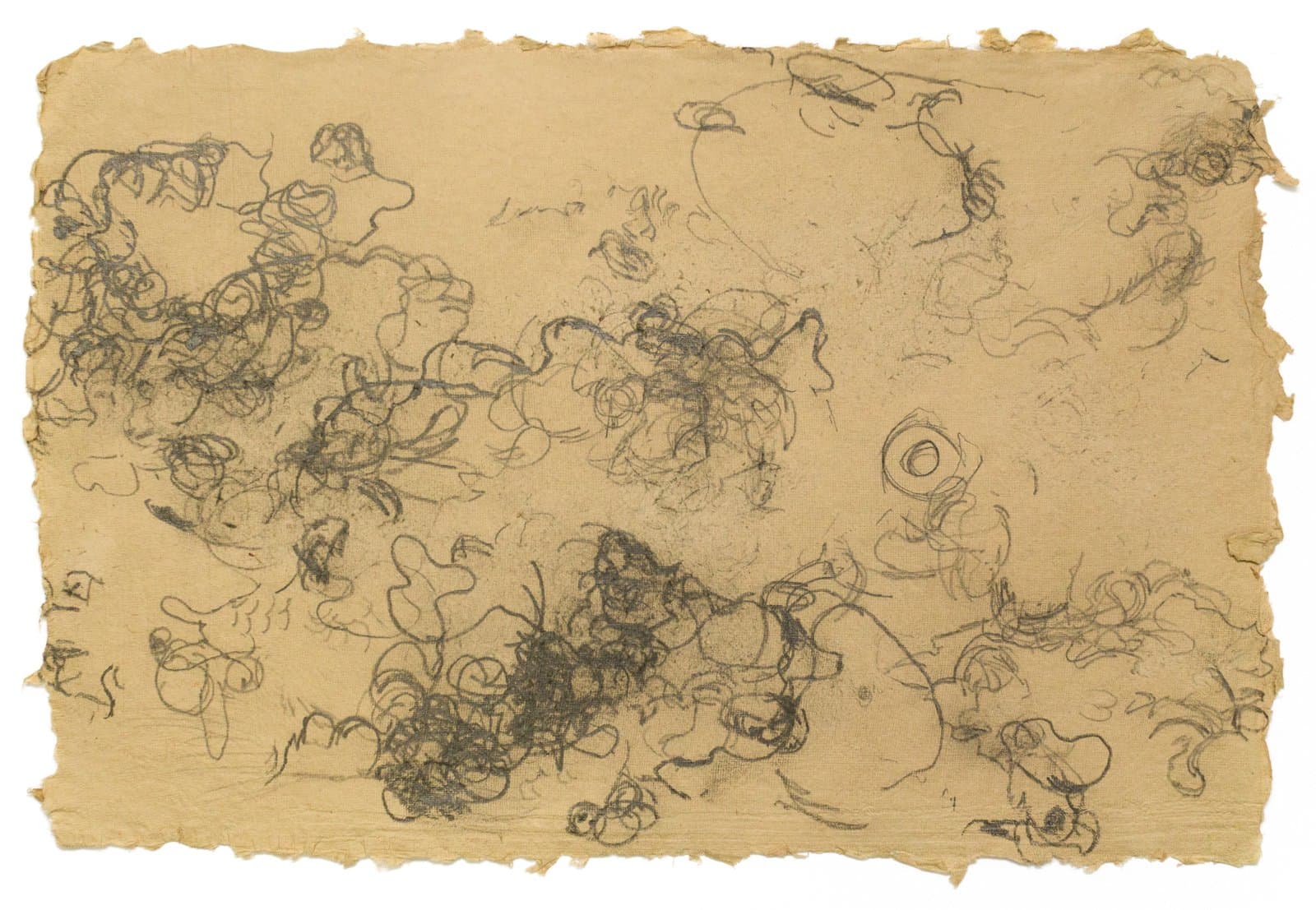 Abstract pencil drawing with dense clusters of looping, organic forms scattered across aged tan paper with deckled edges.