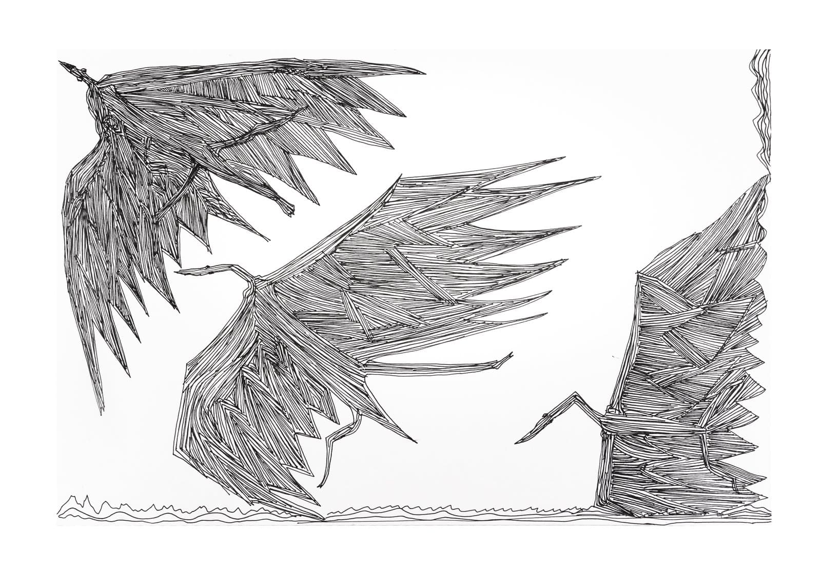 Black ink drawing of angular, wing-like forms with dense hatching on white paper.