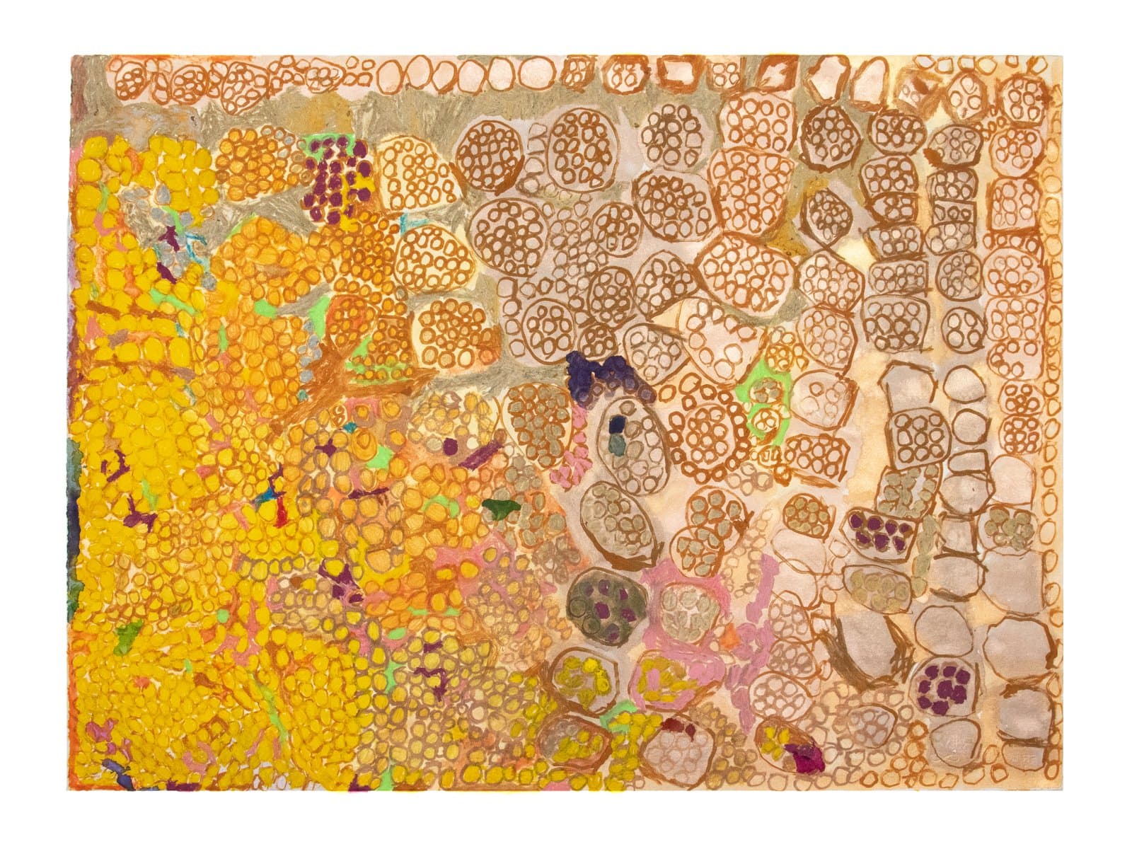 Abstract painting in acrylic and ink with dense clusters of circular and oval forms in yellow, orange, and tan on paper.