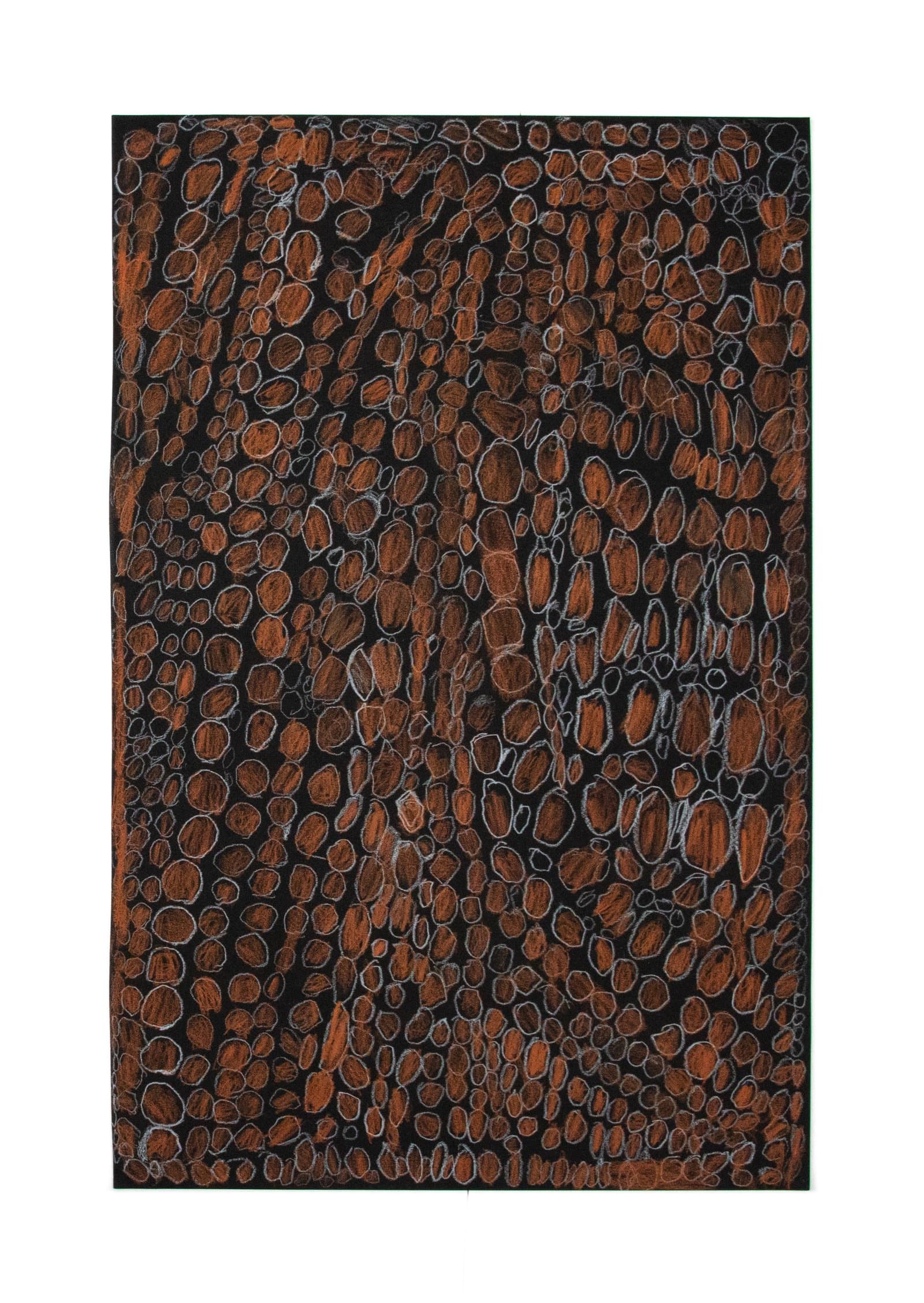Abstract drawing in colored pencil; hundreds of rust-orange oval forms with white outlines densely packed on black paper.