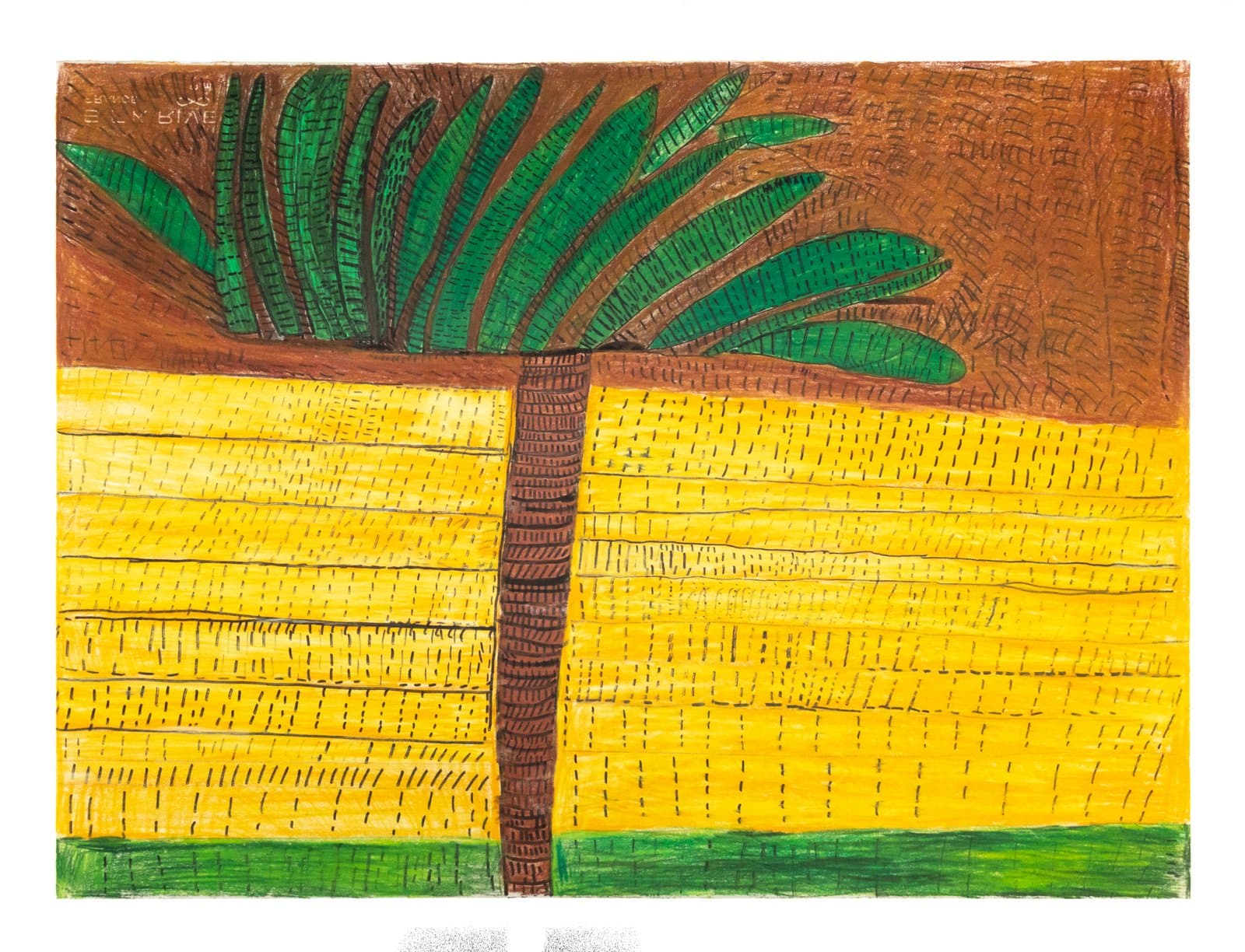 Colored pencil and ink drawing of a palm tree with green fronds against a brown sky above a yellow field.