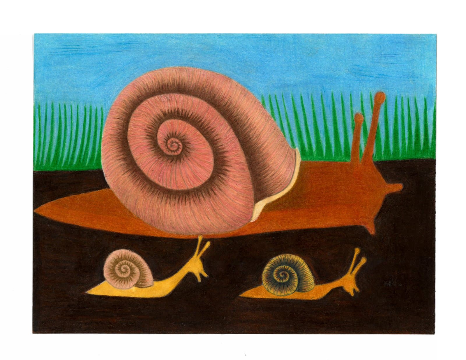 Colored pencil drawing of three snails on dark ground with green grass and blue sky background.