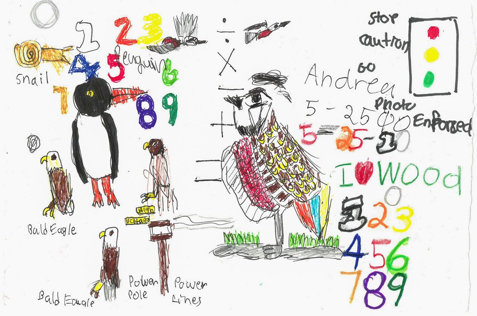 Ink drawing on paper featuring birds, numbers, and text including a penguin, bald eagles, and a large decorated bird.