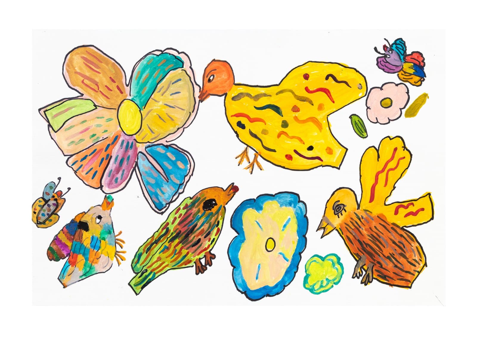 Watercolor and ink drawing of colorful birds, butterflies, and flowers scattered across white paper.