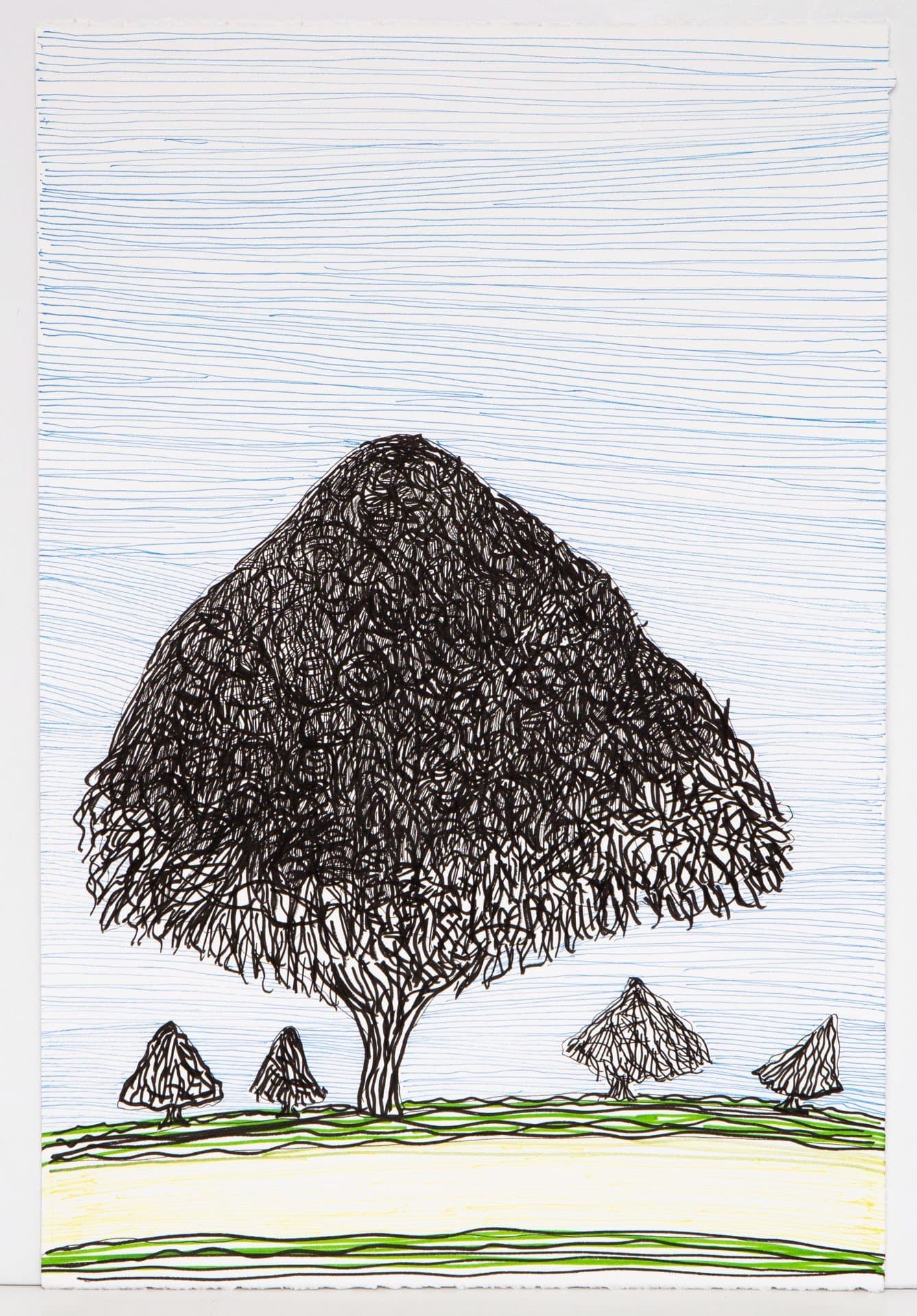 Drawing in pen showing a large tree with dense scribbled foliage and smaller trees on green ground with blue sky