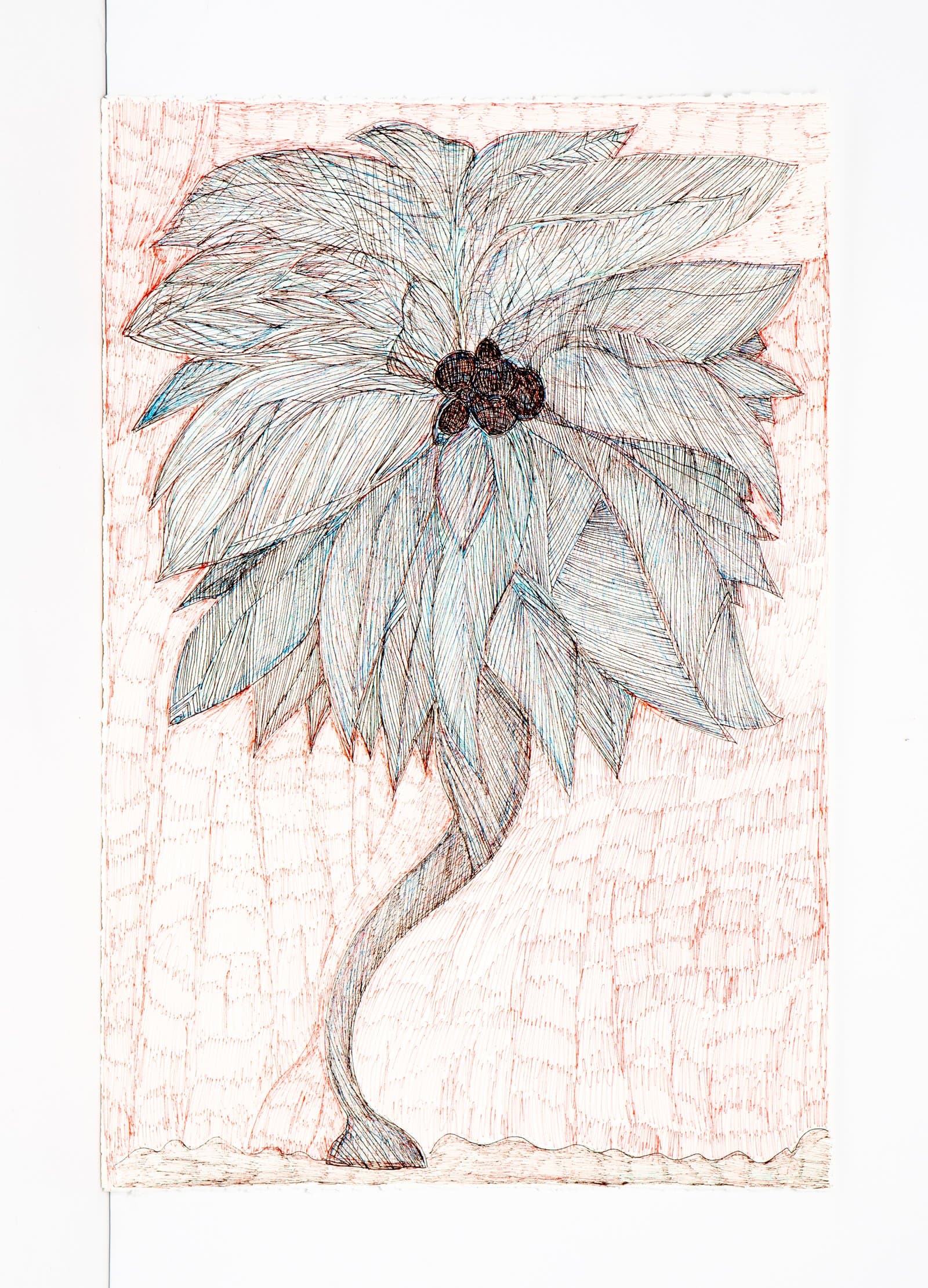 Ballpoint pen drawing of a stylized palm-like tree with layered feathery fronds, dark central cluster, on a red-hatched background.