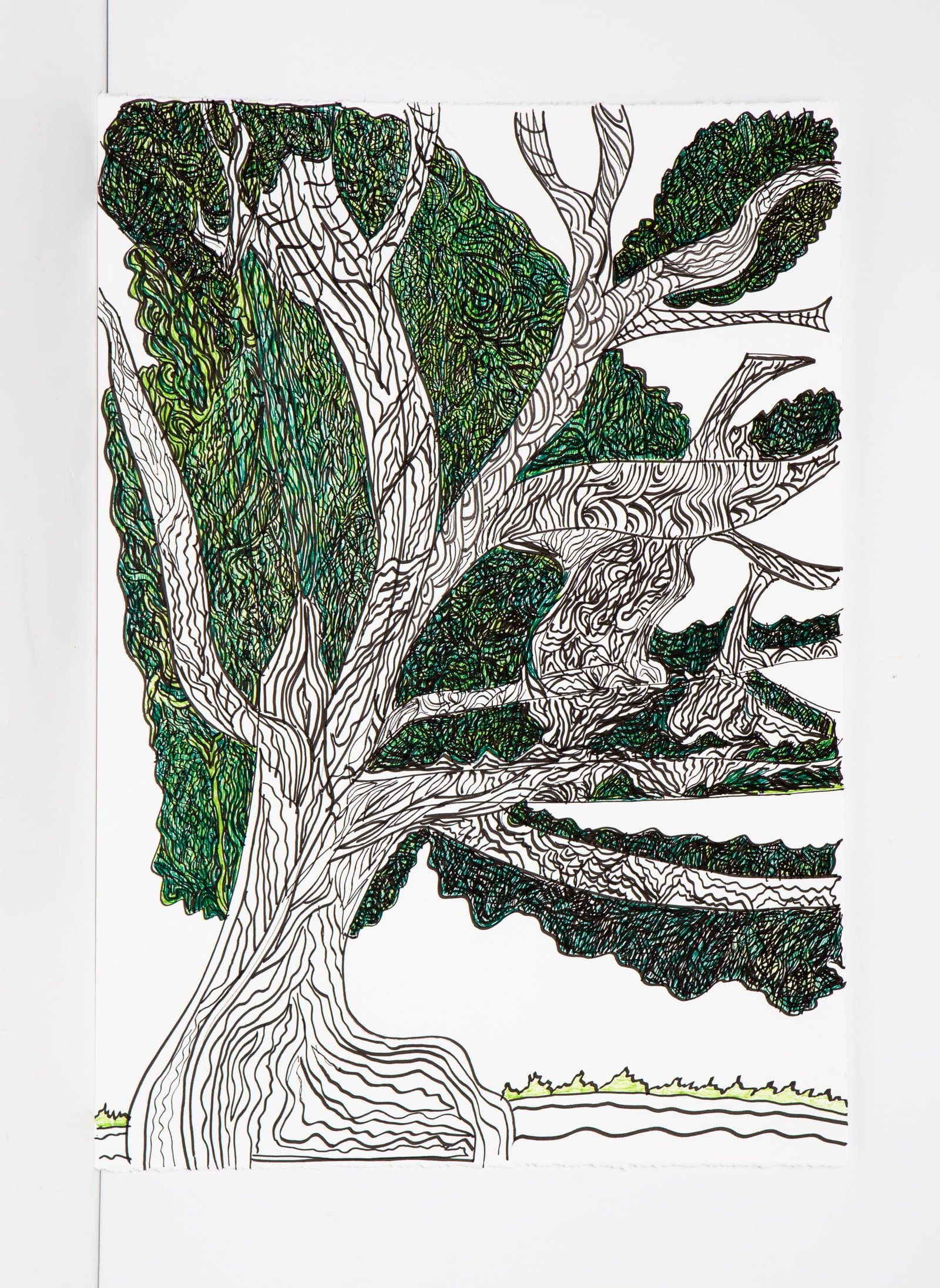 Detailed pen and marker drawing of a large tree with densely patterned foliage in deep greens and black ink on white paper.