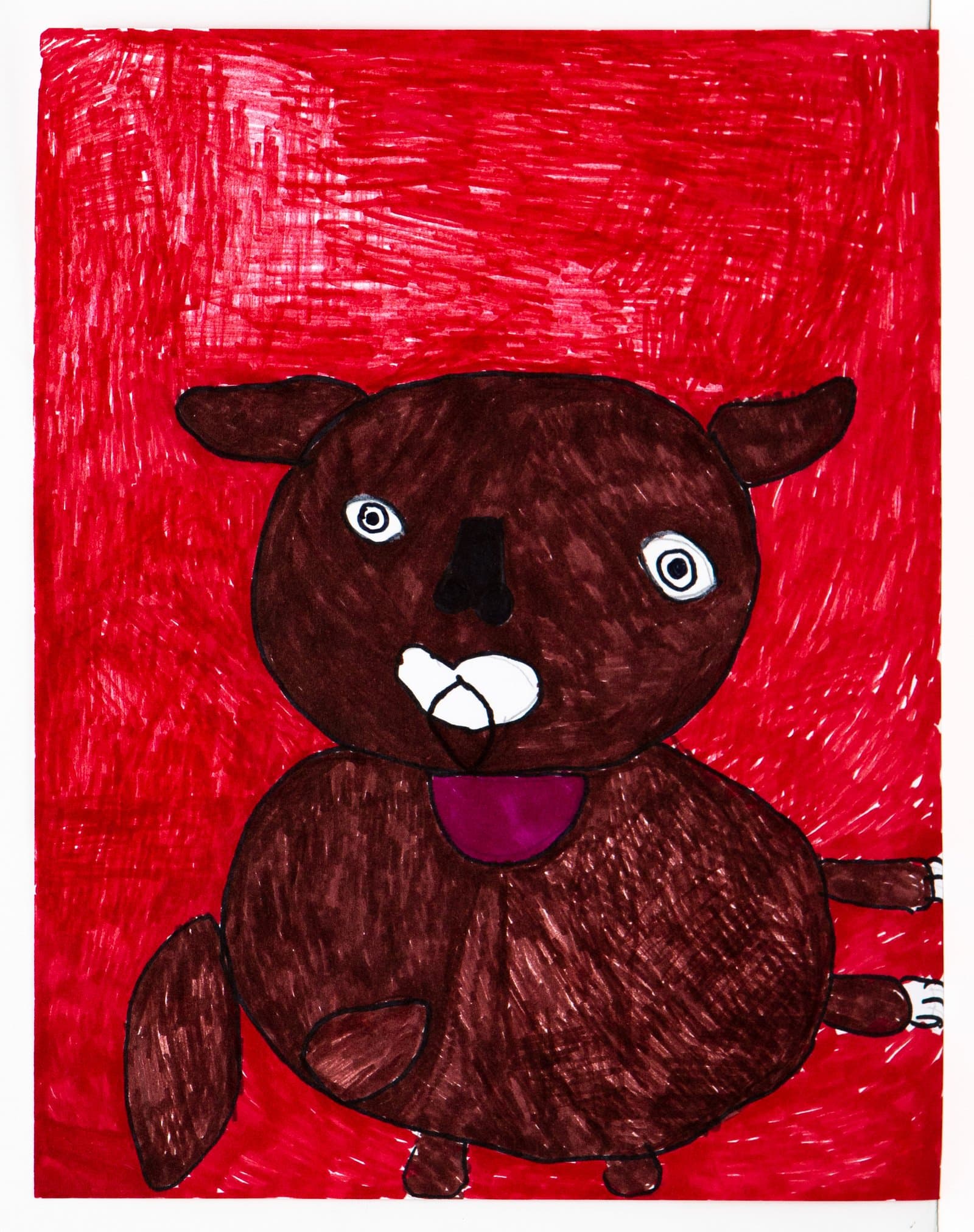 Pen drawing of a round dark brown animal figure with wide eyes and purple collar on a densely cross-hatched red background.
