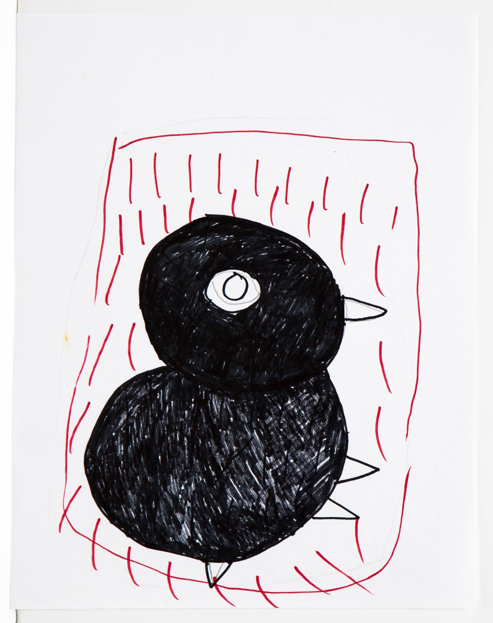 Pen drawing of a black bird composed of two rounded forms, with a white eye, small beak, and red hatched background on white paper.