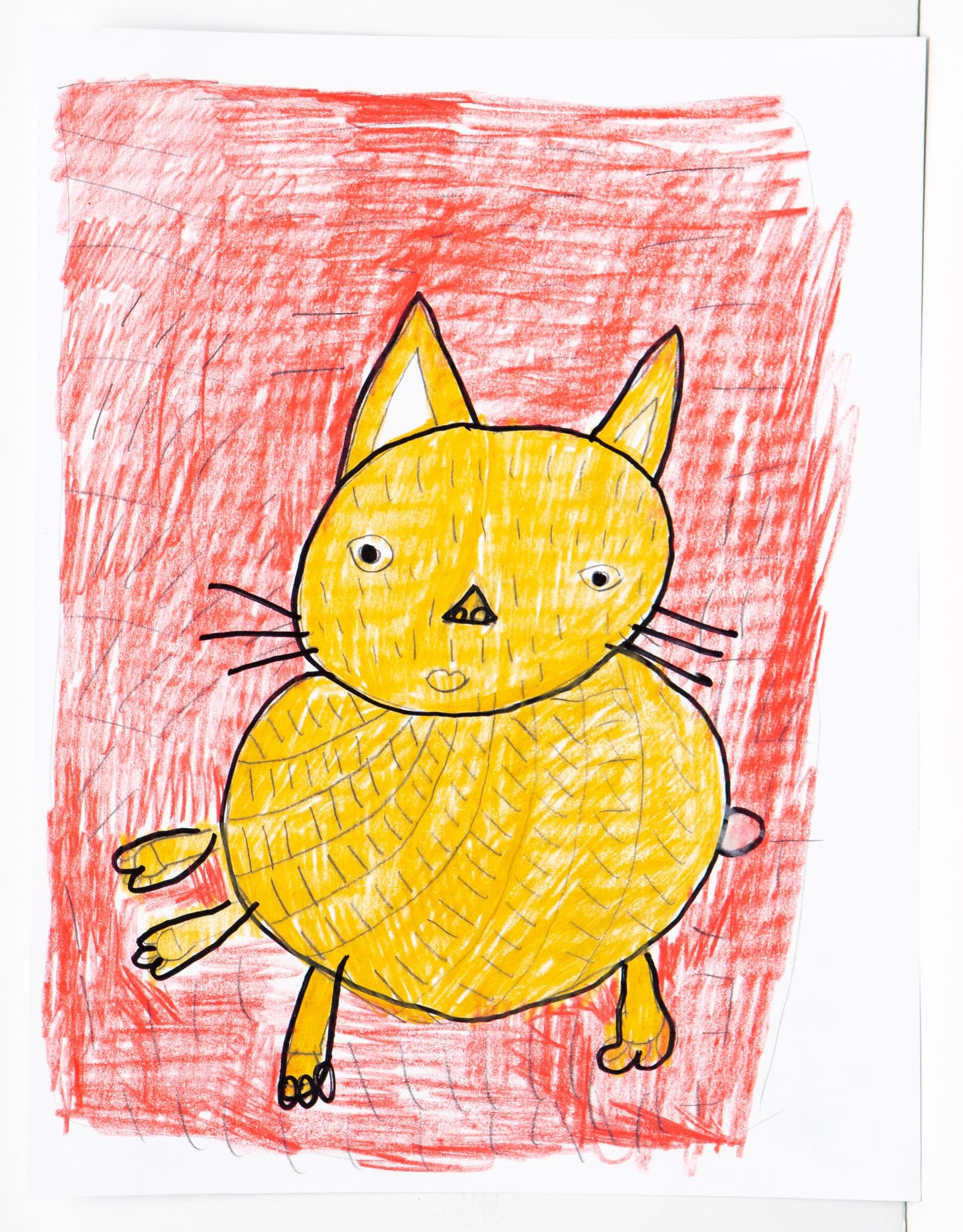 Drawing of a round yellow cat in pen and colored pencil, centered on a heavily scribbled red background.