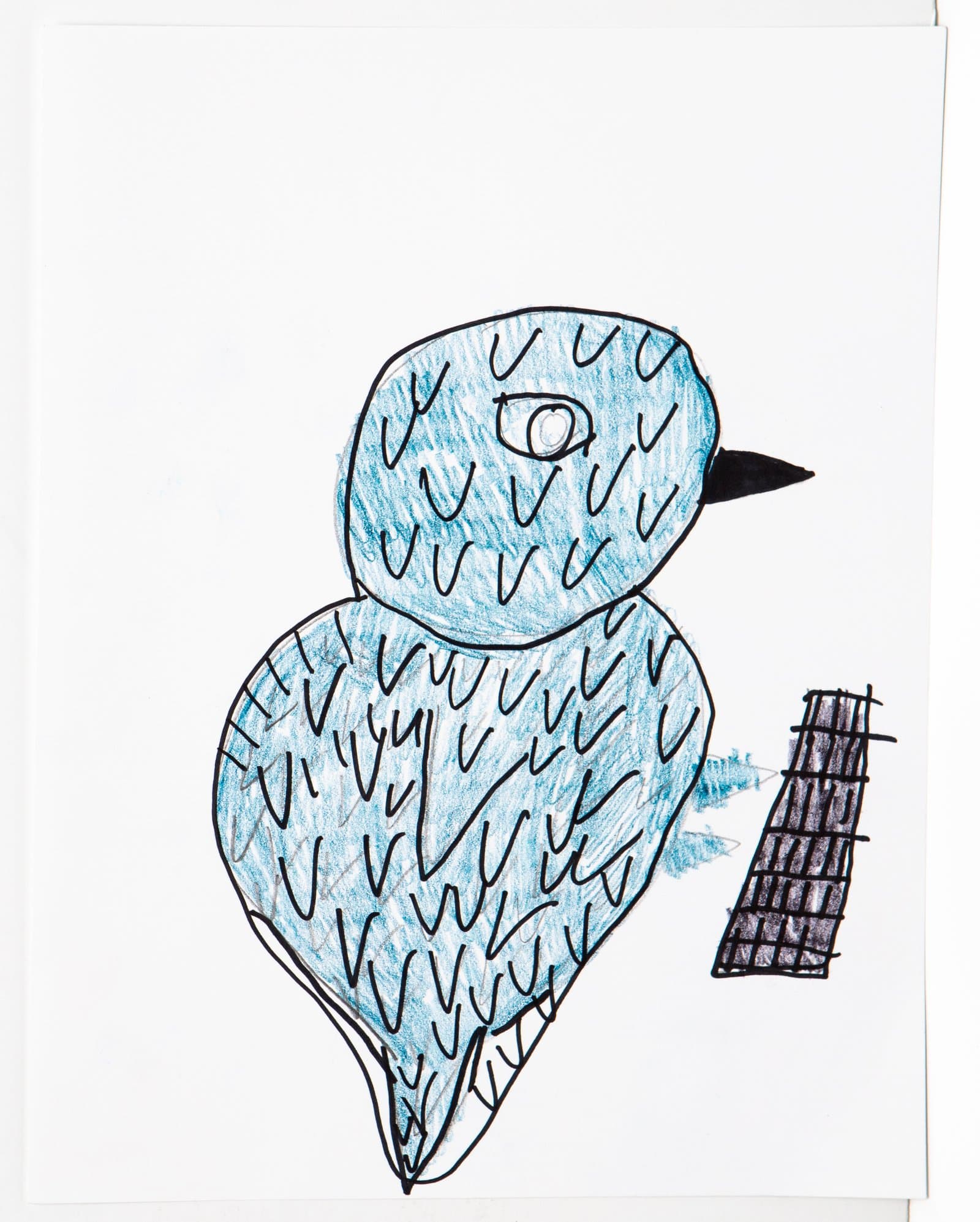 Drawing of a blue bird perched on a dark crosshatched post, rendered in pen and colored pencil on white paper.