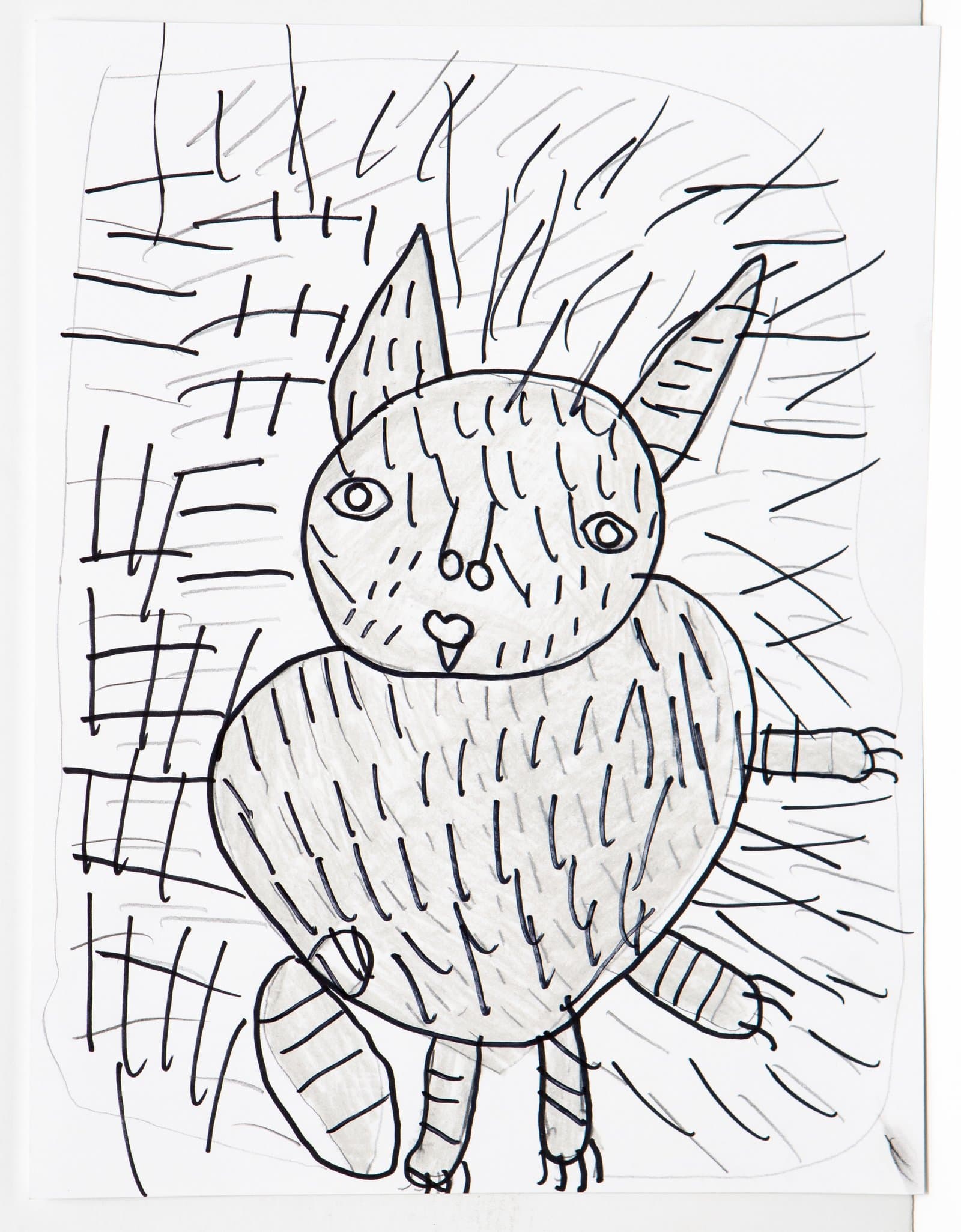 Pen and colored pencil drawing of a frontal cat with striped markings, surrounded by dense hatched lines on white paper.