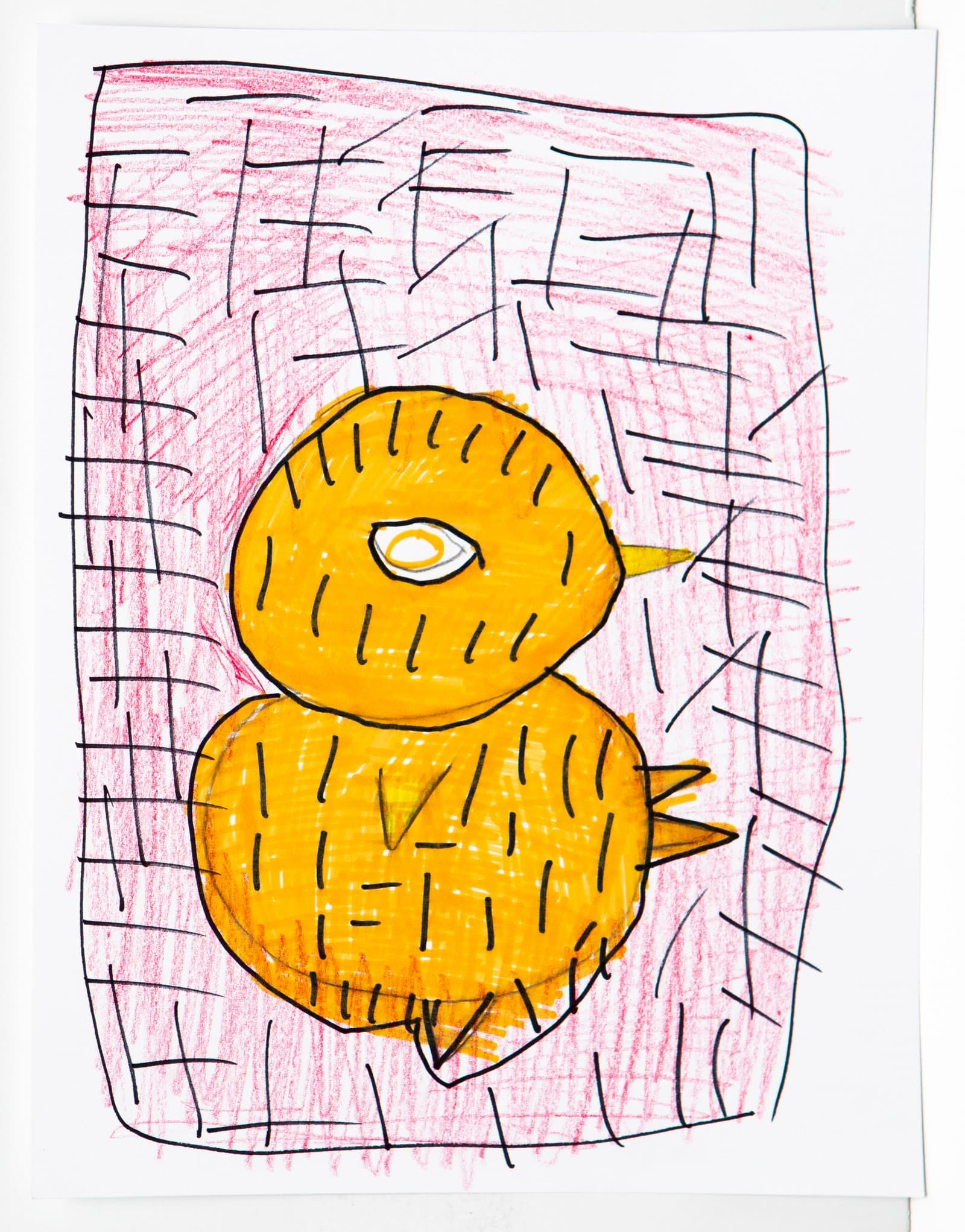 Drawing of a round yellow-orange bird in marker and colored pencil against a pink background with black grid lines.