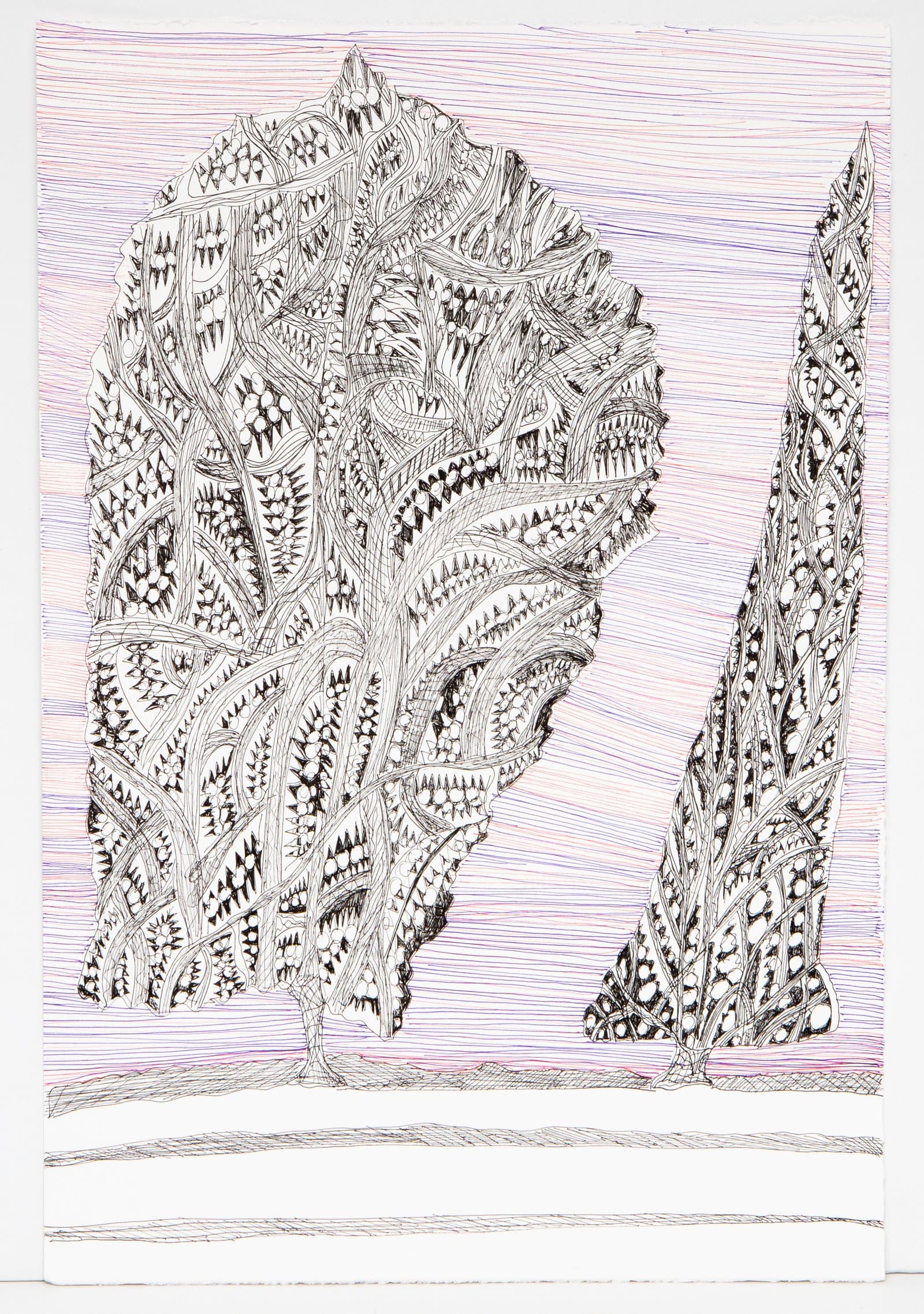 Pen drawing of two highly detailed trees with intricate patterned foliage against a background of fine horizontal colored lines.