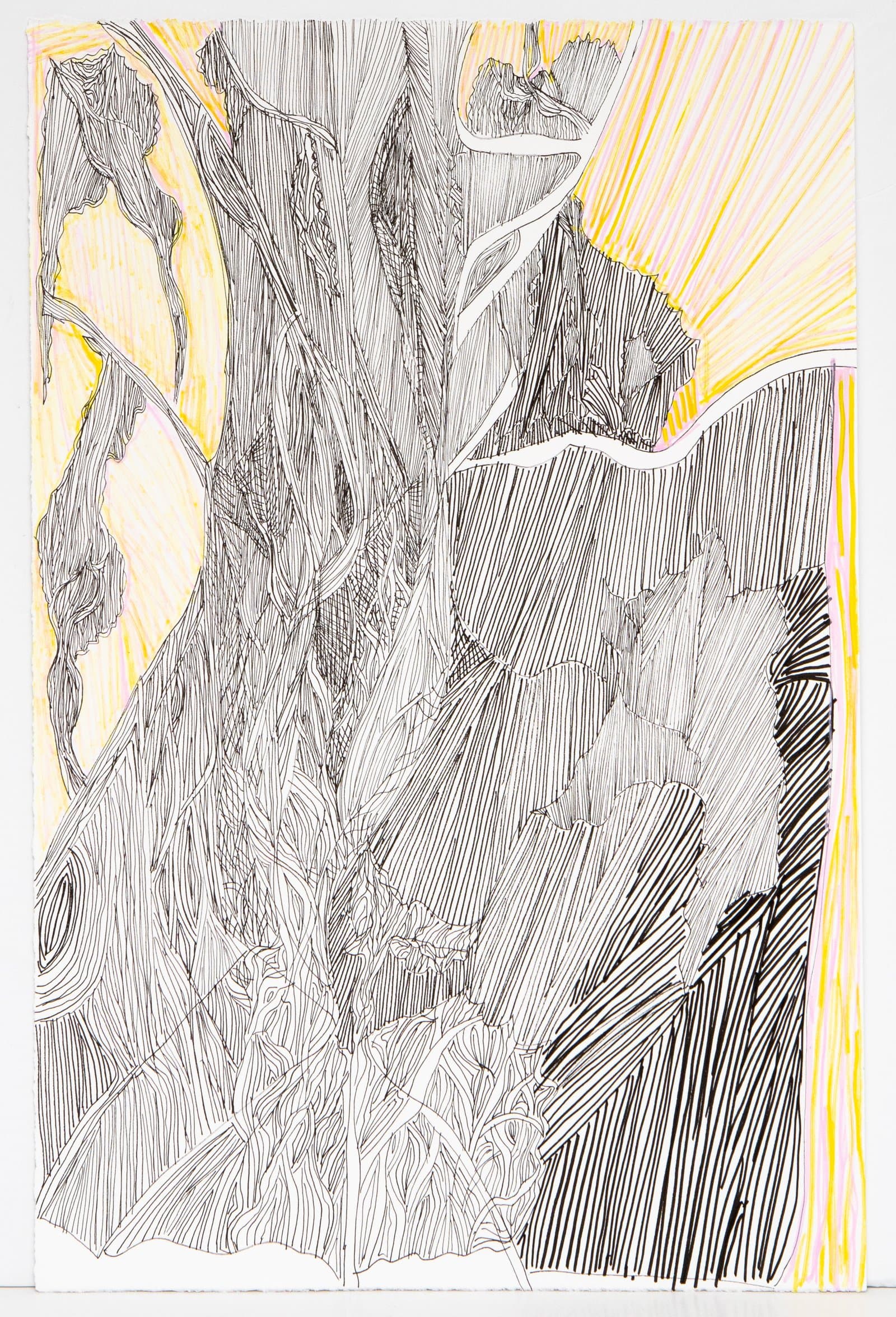Large pen drawing on paper with dense black ink linework suggesting organic, landscape-like forms against yellow and pink radiating lines.