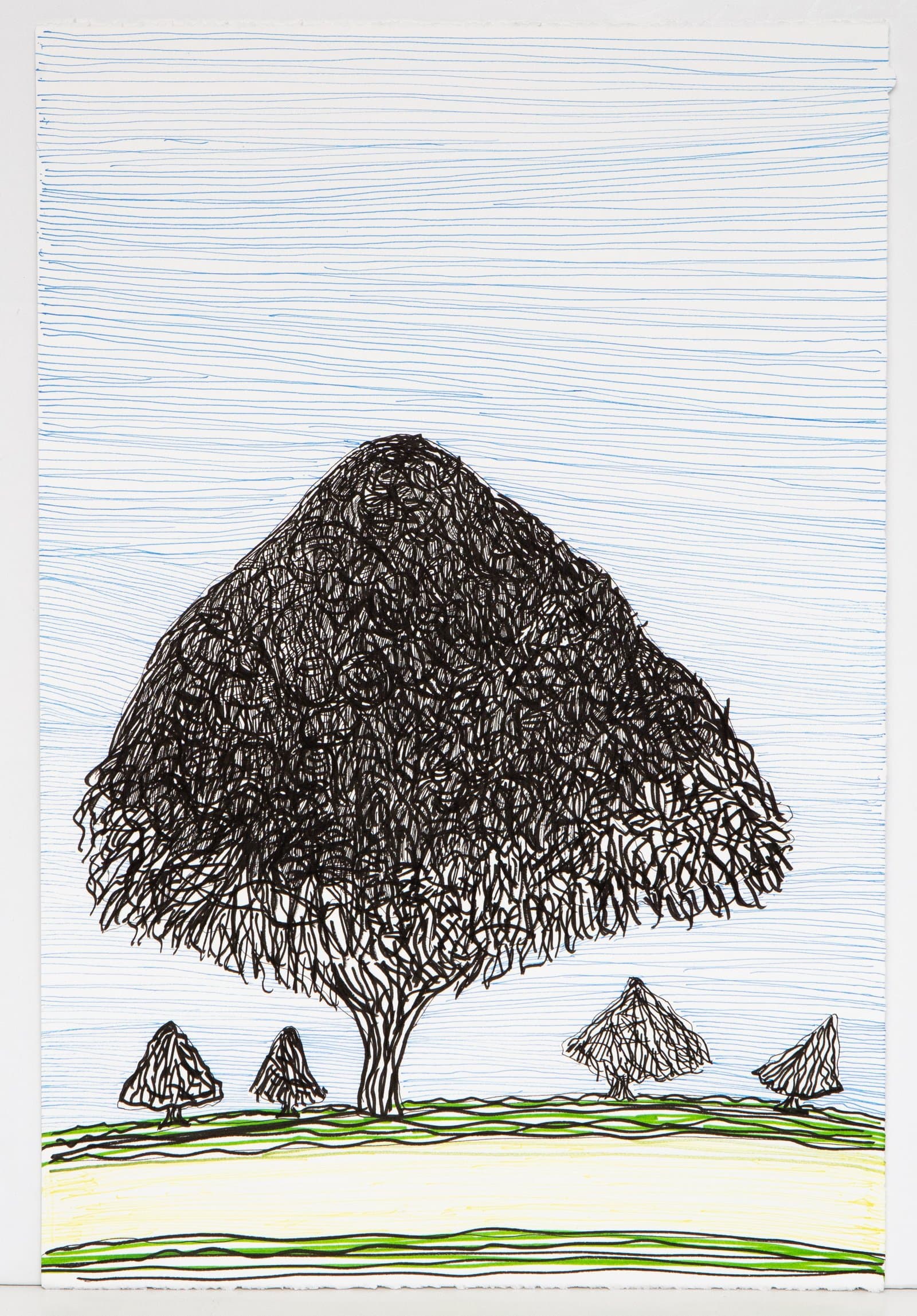 Pen drawing of a large central tree with dense black scribbled canopy, four smaller trees, green ground, and blue horizontal line sky.