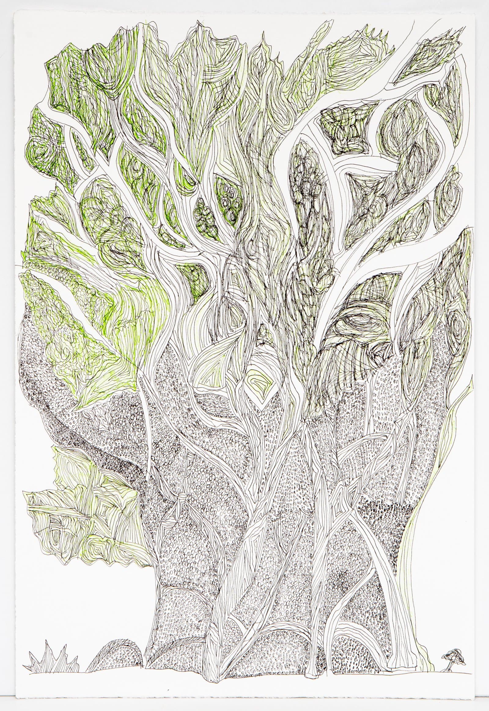 Pen drawing of a massive, densely detailed tree filling the composition, with green ink accents on upper left foliage, on white paper.