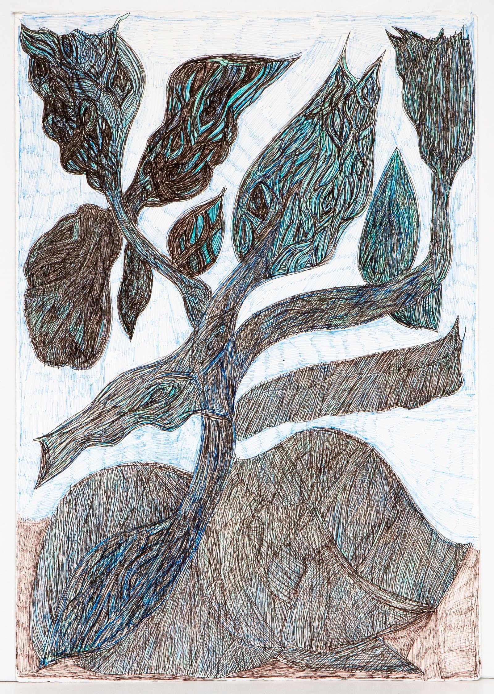 Pen drawing of a stylized plant with dark leaves and buds rendered in dense hatching in black and blue on white paper.
