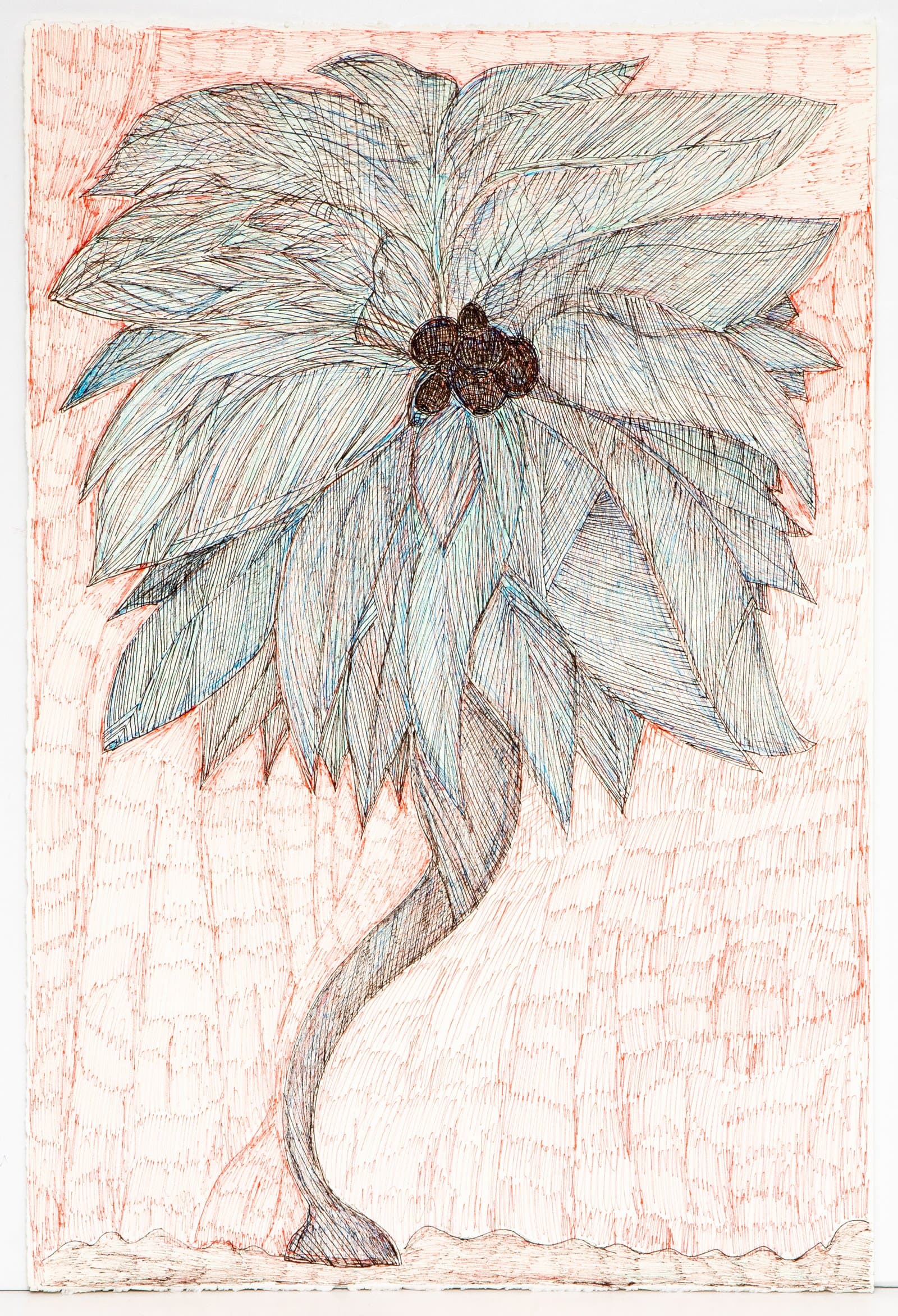 Pen drawing of a stylized palm tree with large layered blue-gray fronds, dark clustered fruit, and a curved trunk on a red-hatched background.