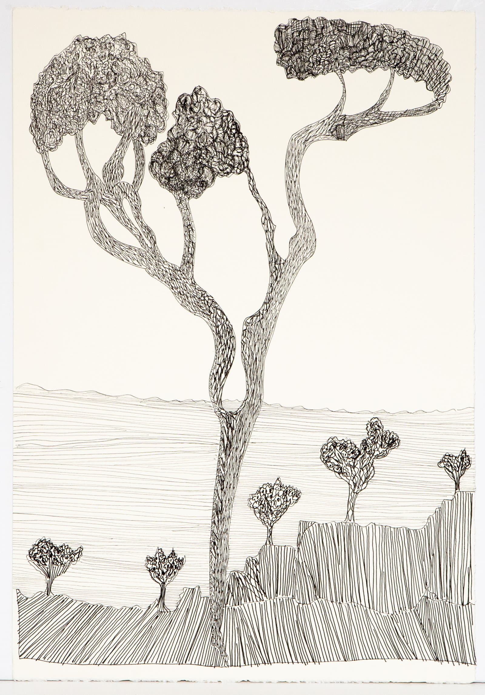 Pen on paper landscape drawing of a large central tree with twisting branches and textured canopies, surrounded by smaller trees and rocky terrain.