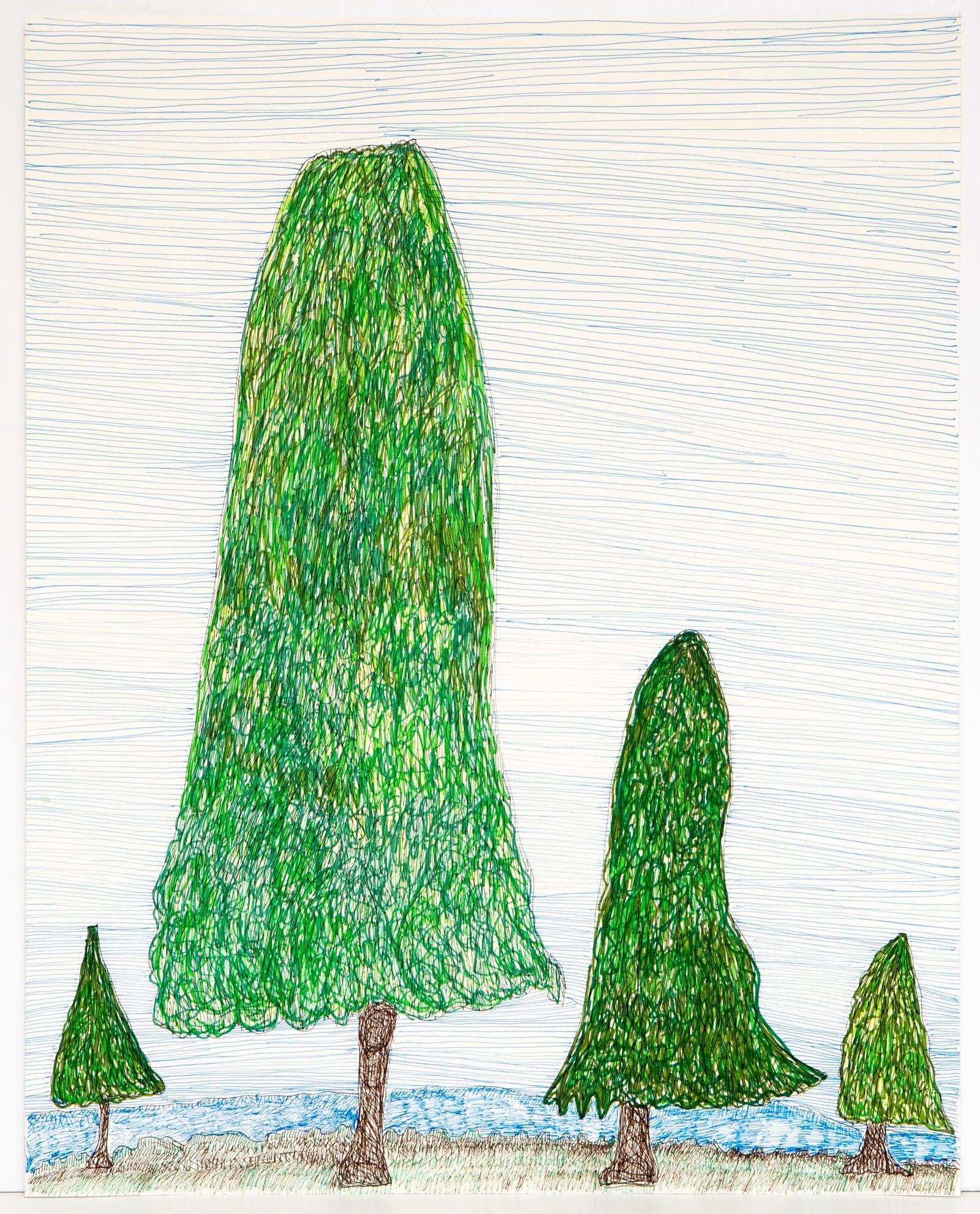 Pen drawing of five green trees of varying sizes with brown trunks on a blue-striped ground against a pale lined sky.