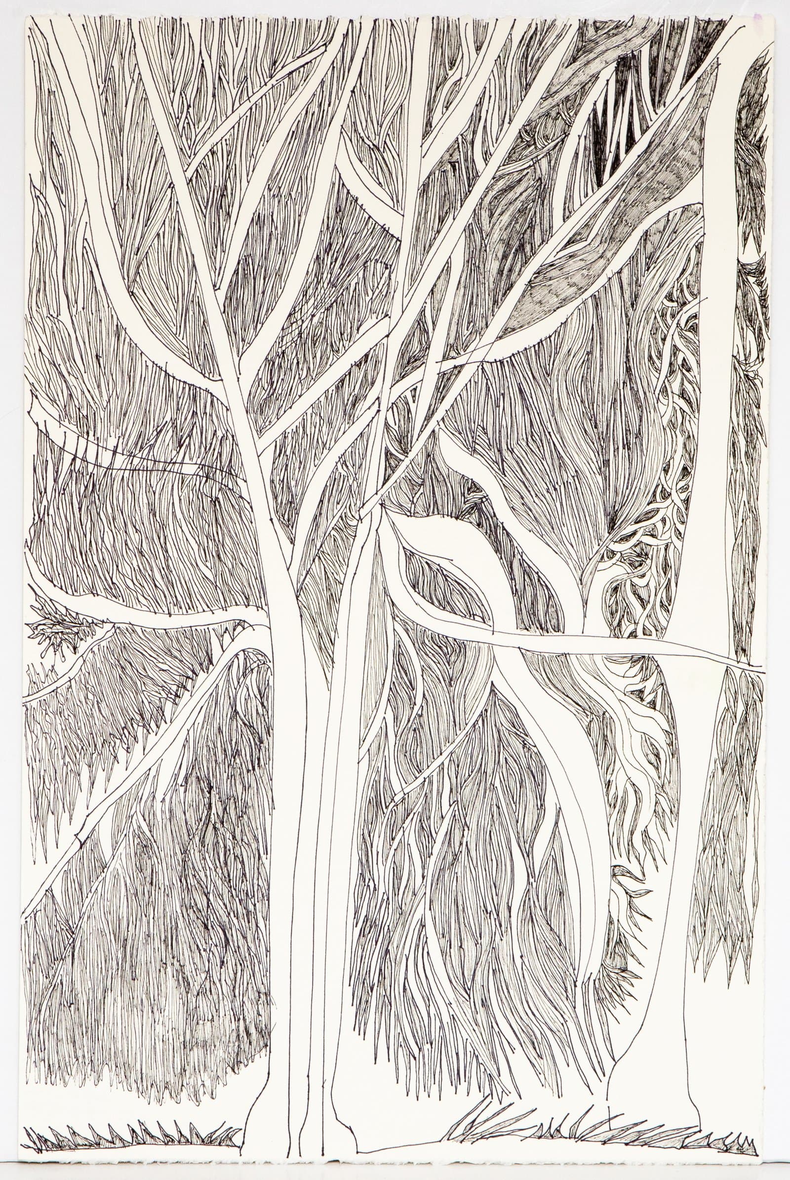 Dense pen-on-paper drawing of trees and foliage rendered in intricate black ink linework on white paper.
