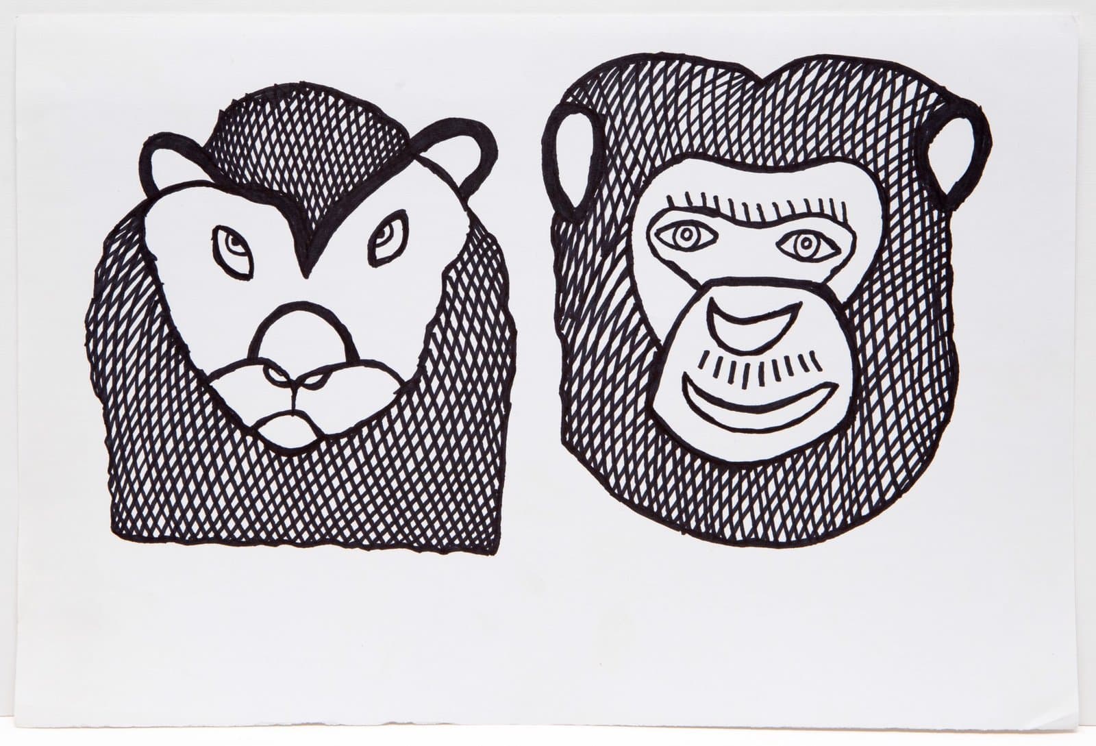 Ink drawing on paper featuring two animal head portraits - a lion on left and monkey on right with crosshatch shading
