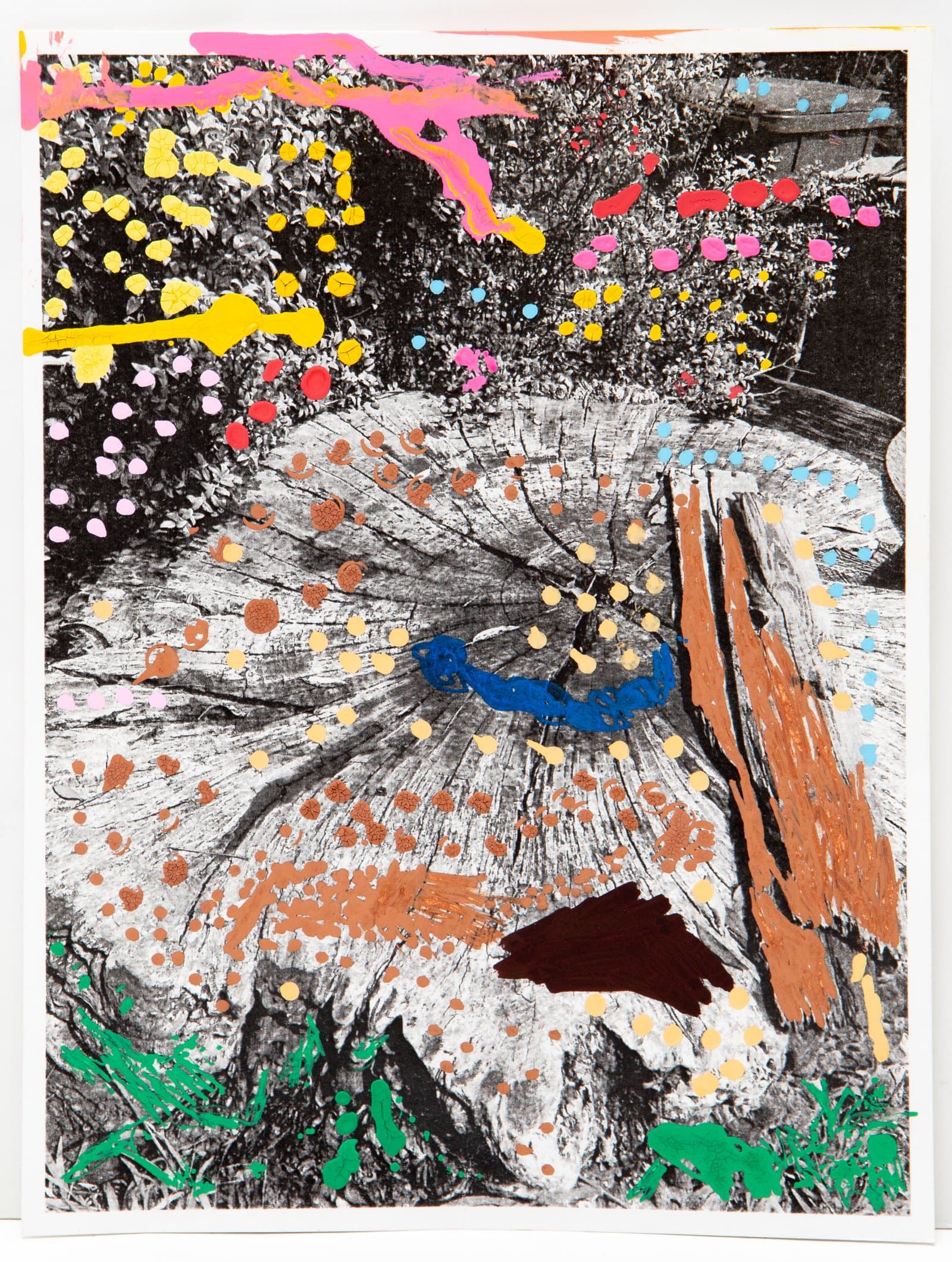 Black-and-white photo of a tree stump painted over with colorful acrylic dots, strokes, and marks in yellow, pink, blue, and green.