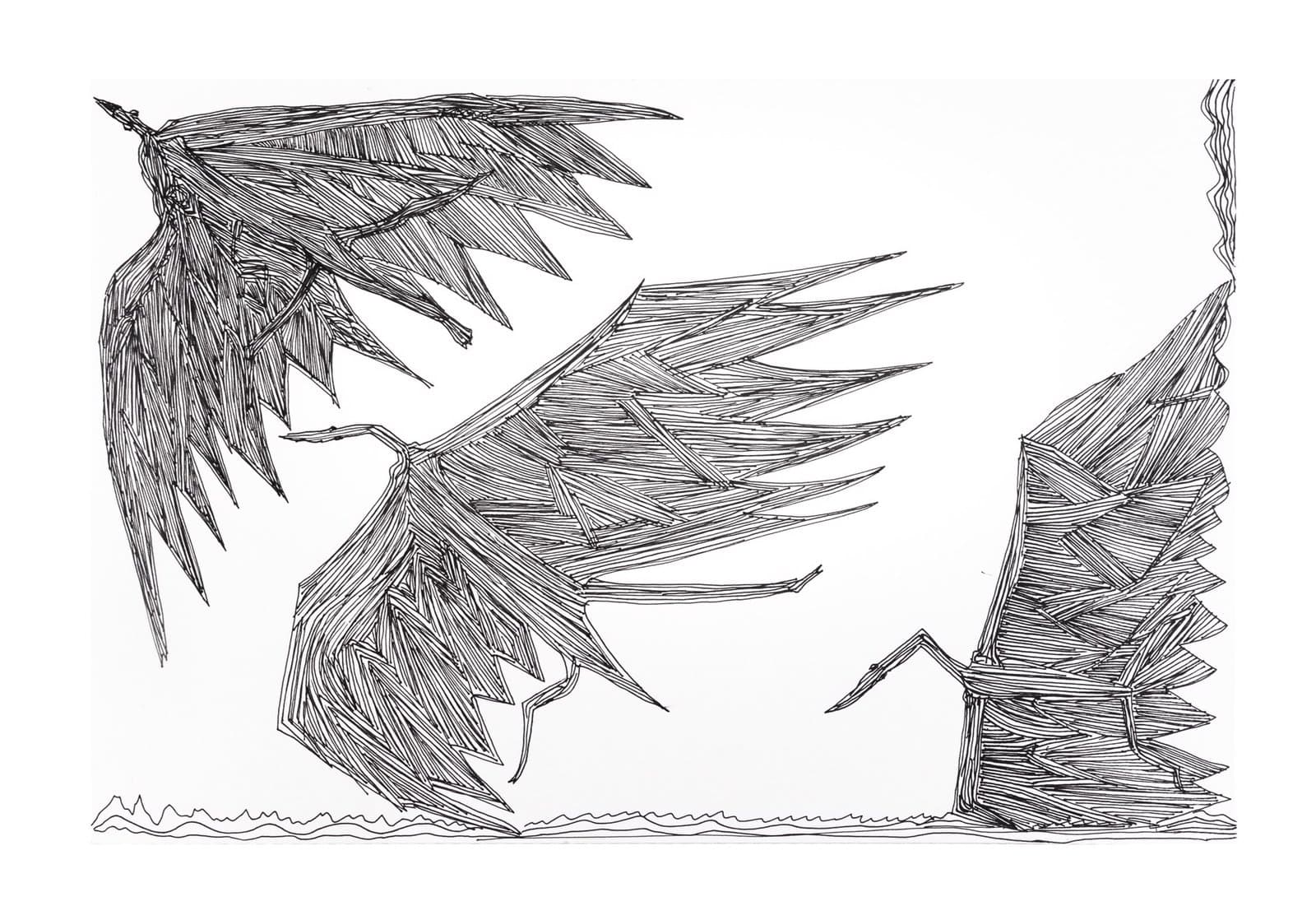 Black ink drawing of palm fronds and leaves with crosshatching technique on white paper