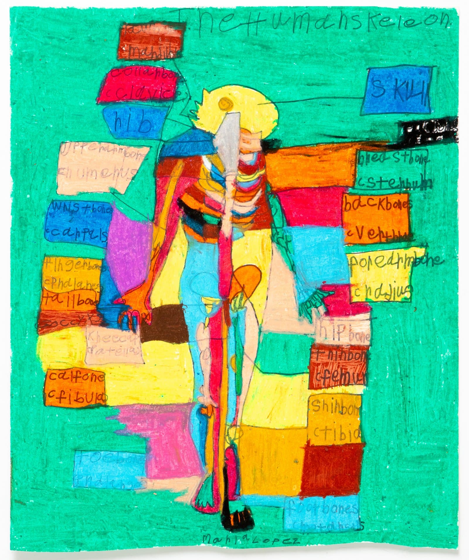 Pastel drawing on green paper of a labeled human skeleton figure surrounded by colorful rectangular text blocks.