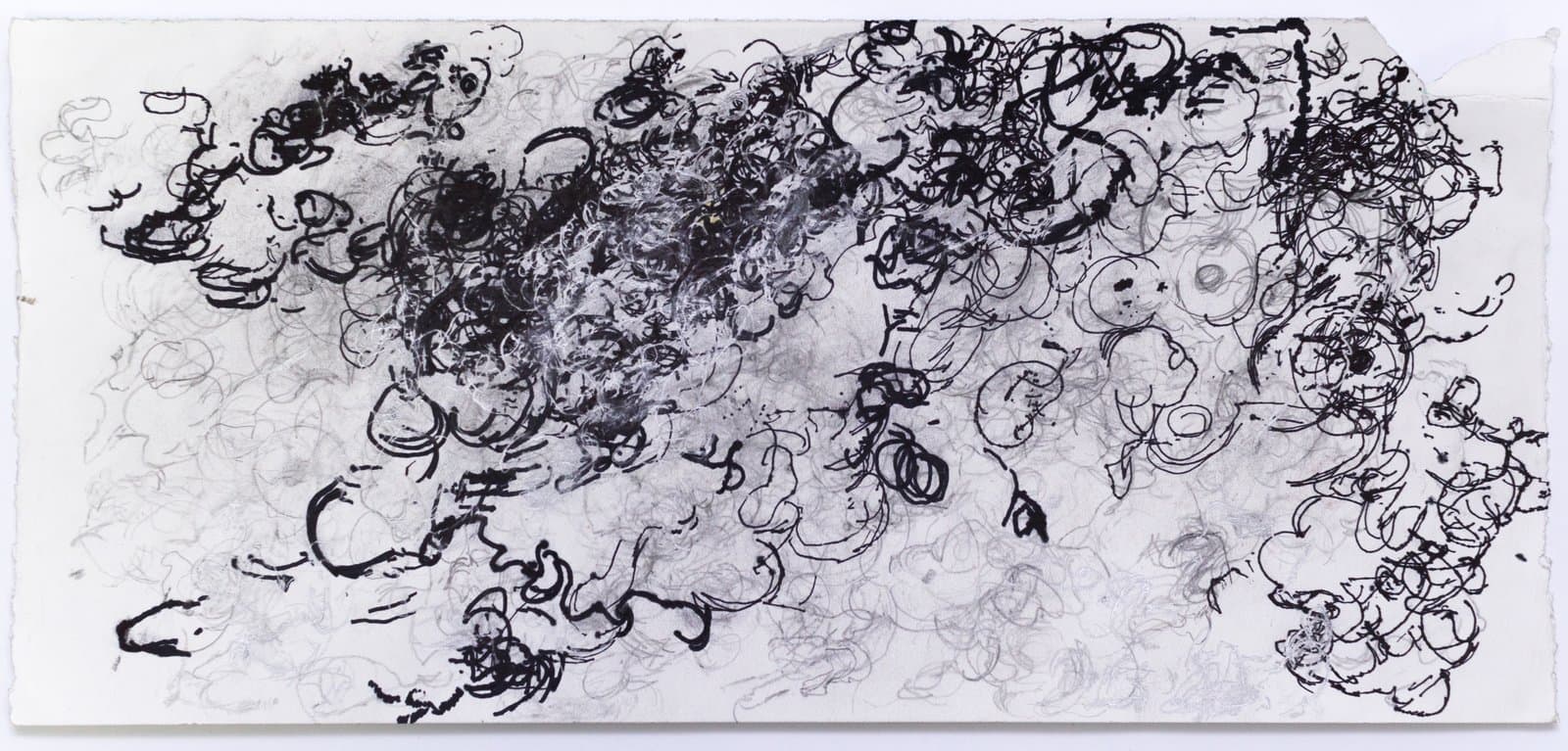 Abstract drawing with dense swirling loops and spirals in black ink and pencil on white paper, landscape orientation.
