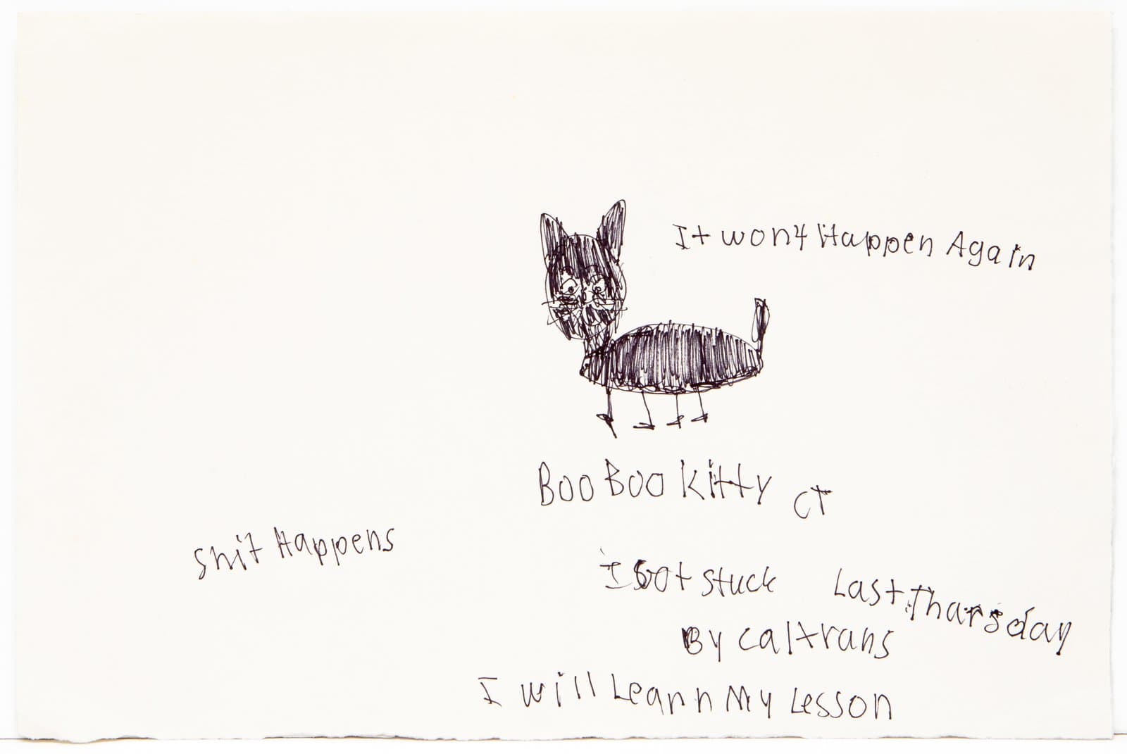 Ink drawing on white paper of a small cat with dense hatching, surrounded by handwritten phrases.
