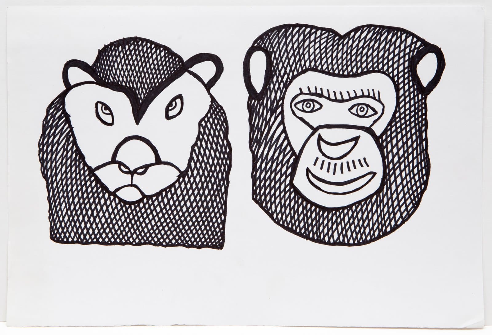 Black ink drawing on white paper depicting two animal faces side by side: a lion on the left and a chimpanzee on the right.
