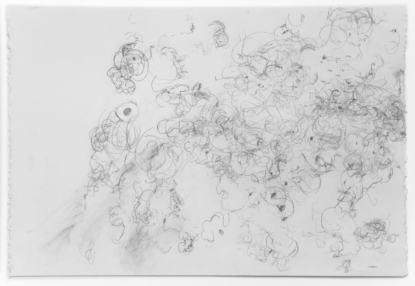 Abstract pencil drawing with dense overlapping curvilinear forms and spirals scattered across white paper.