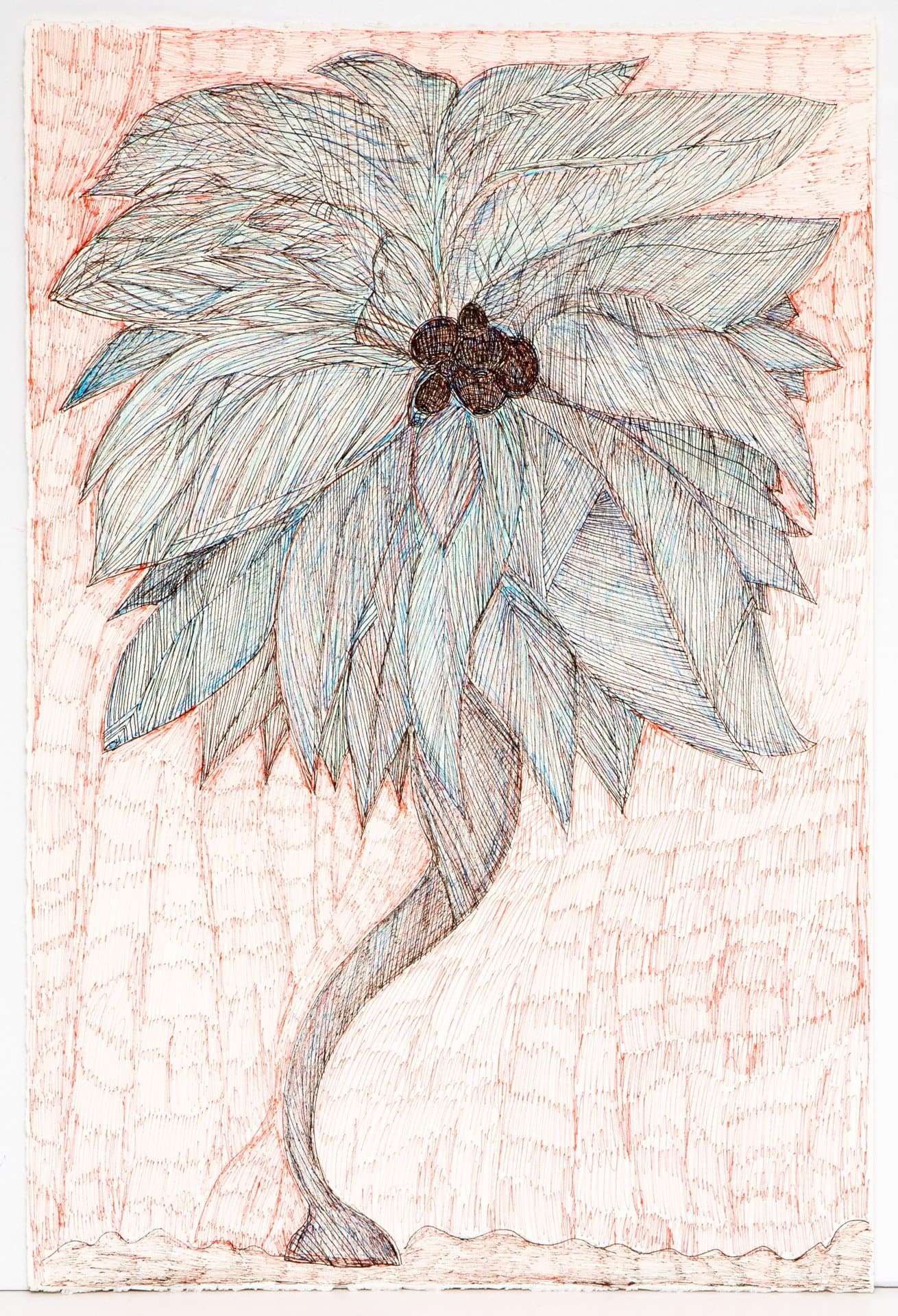 Drawing of a palm tree in pen with crosshatched fronds and trunk on pink-tinted paper background.