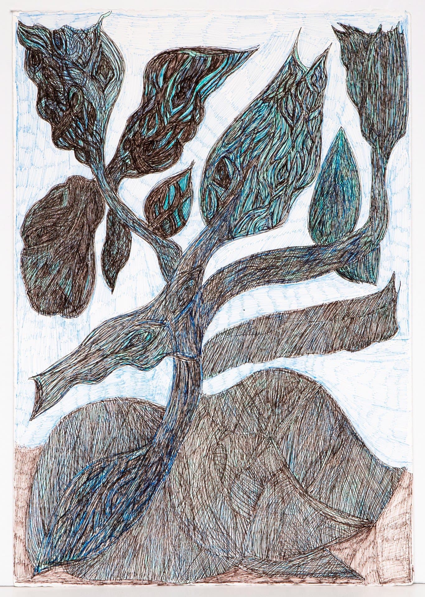 Pen drawing of a stylized plant with flame-like leaves in black and blue ink on white paper.