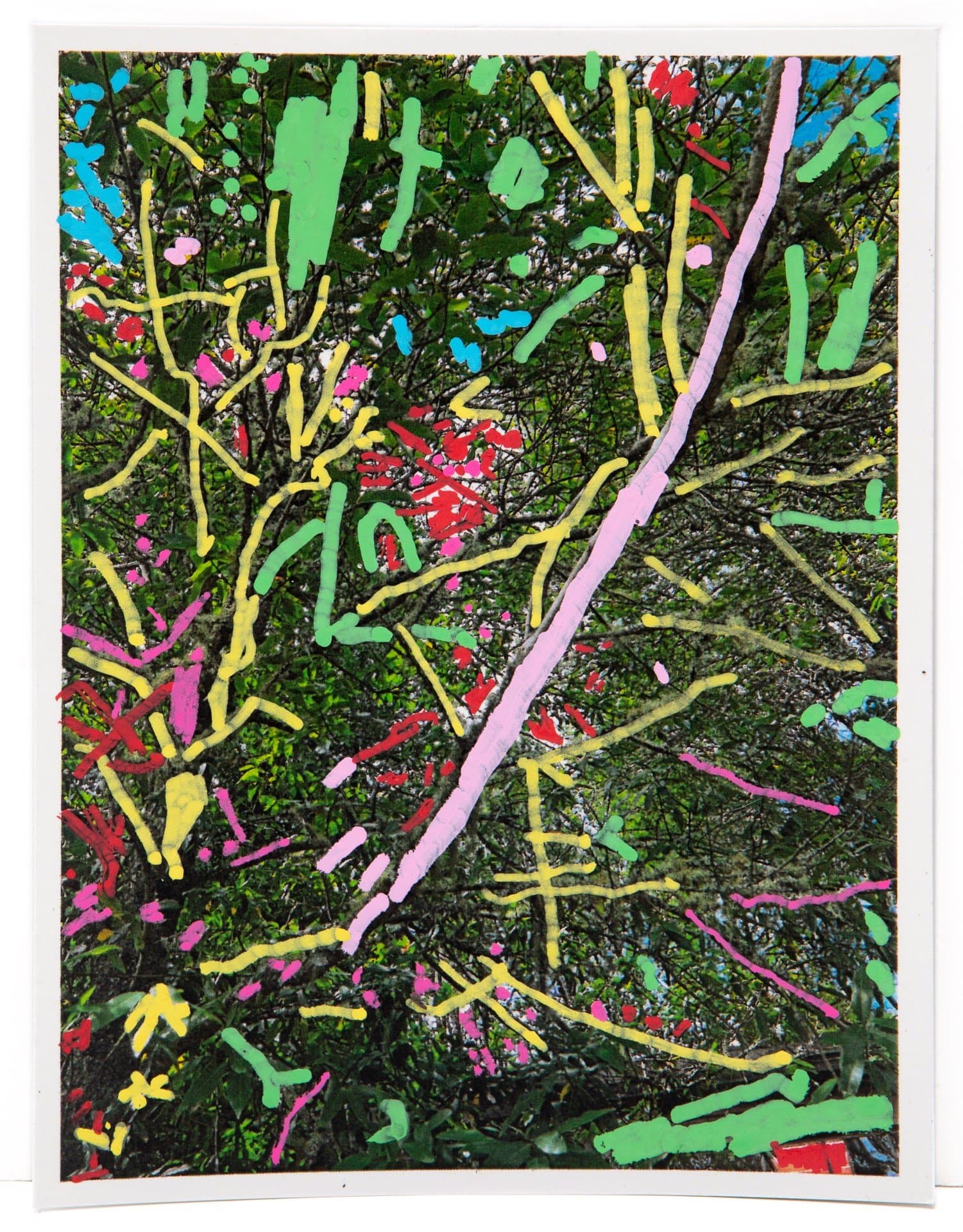 Mixed media artwork with acrylic paint applied over a photographic base, featuring bright linear marks in multiple colors.