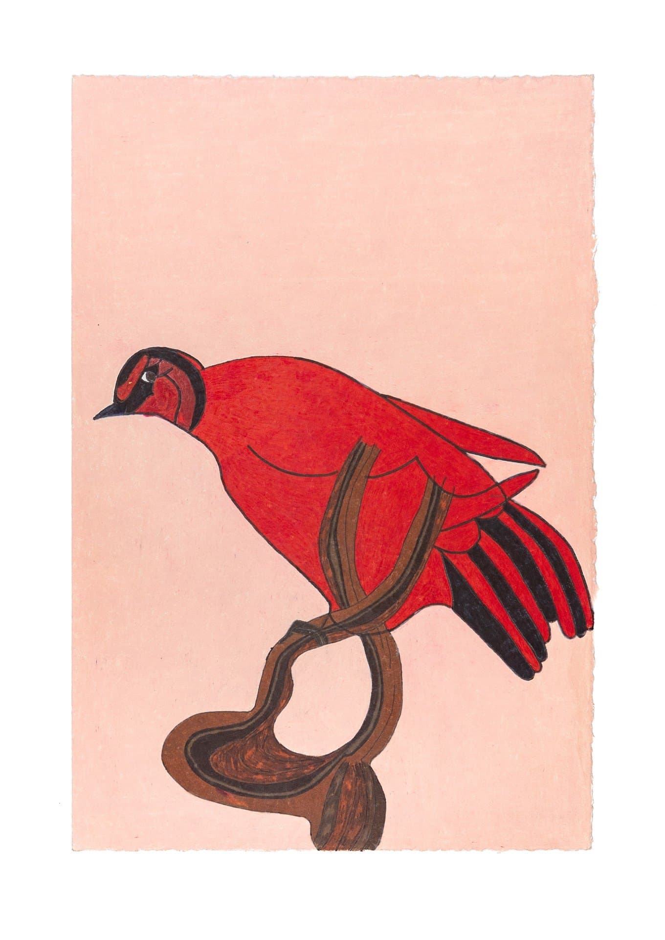 Colored pencil drawing of a red bird with black markings perched on a curved brown branch against pink background