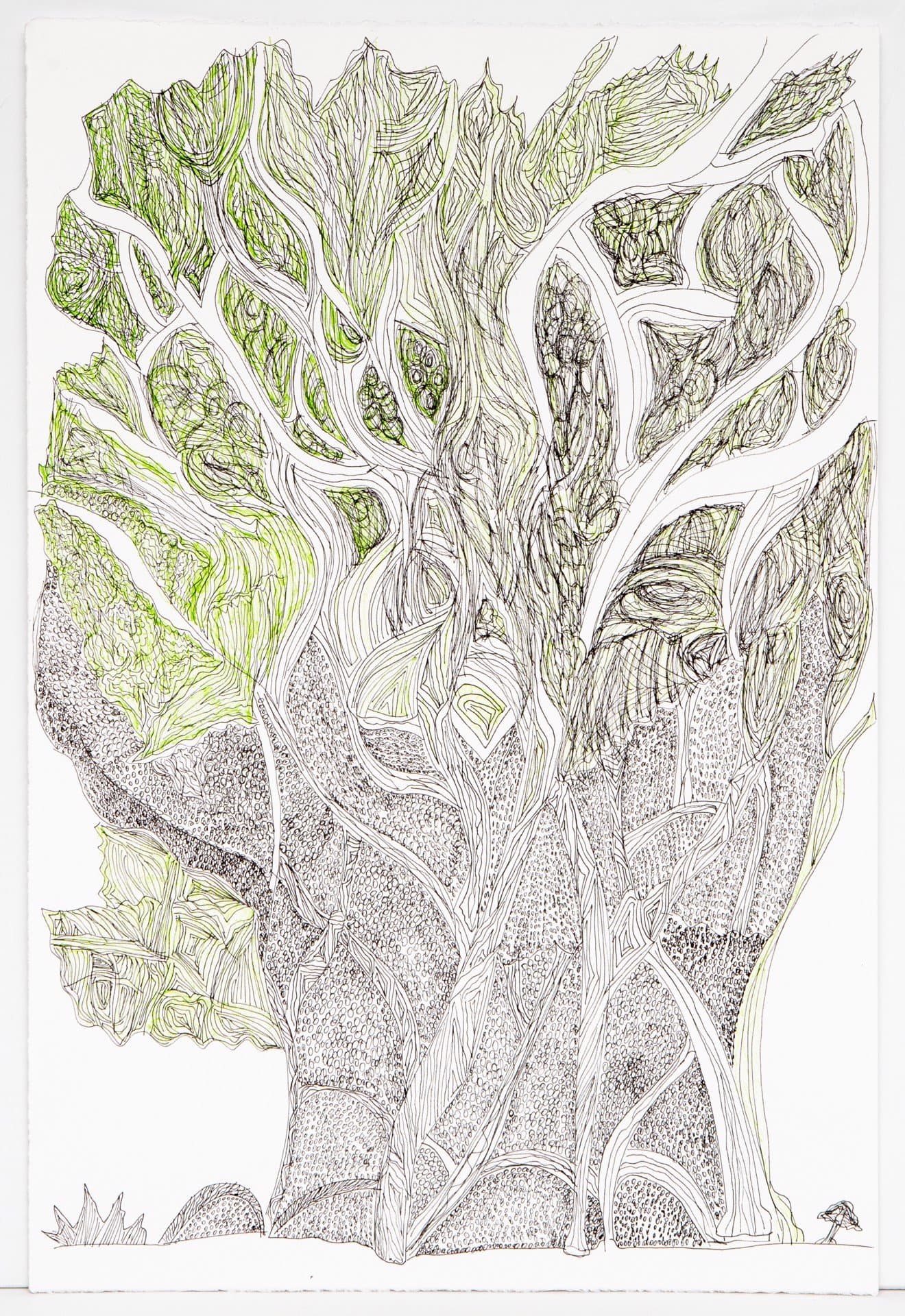 Pen drawing of an intricate tree with flowing branches and detailed foliage in green and black ink on white paper.