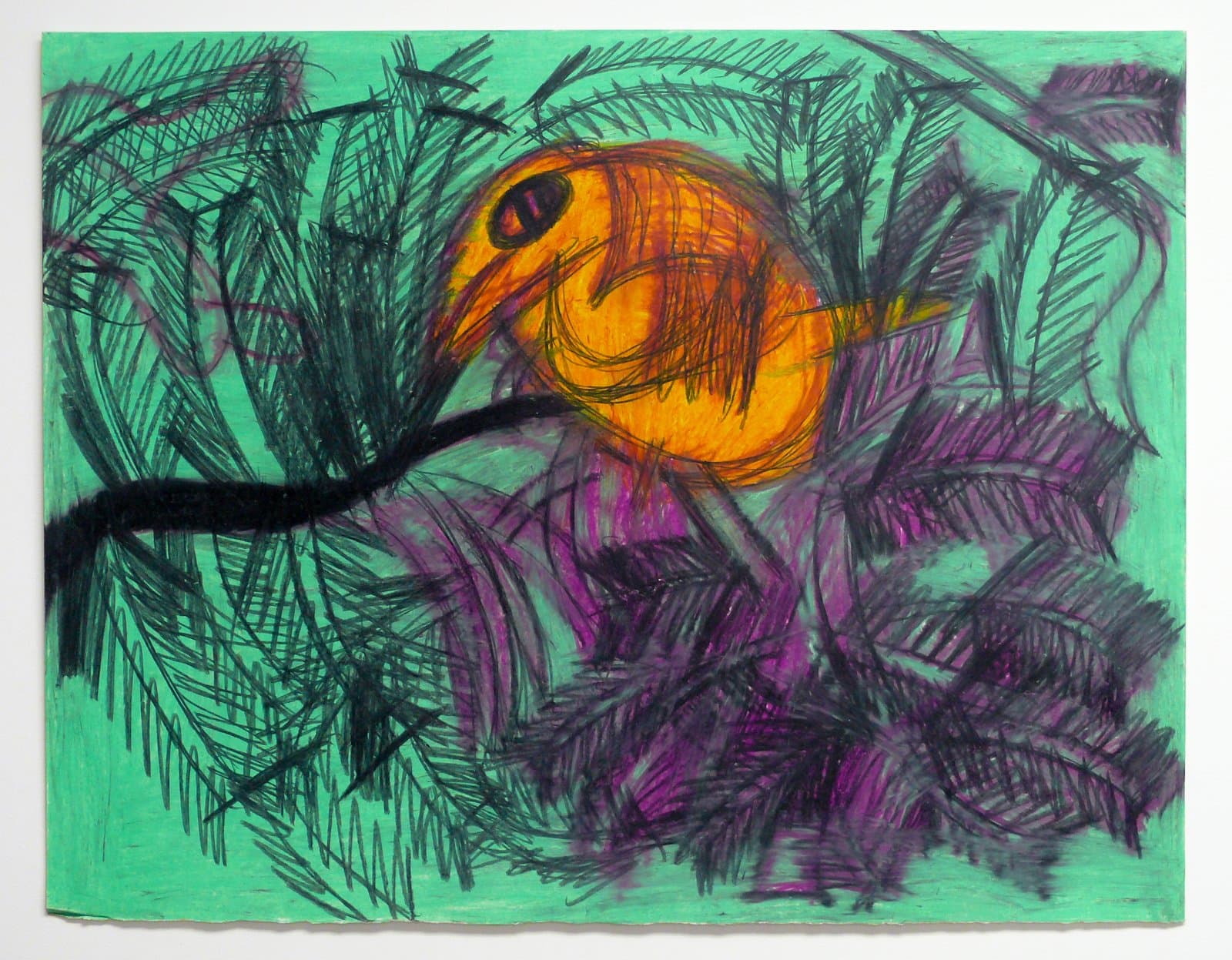 Drawing of a round orange bird perched amid dense foliage, rendered in oil pastel on green paper.